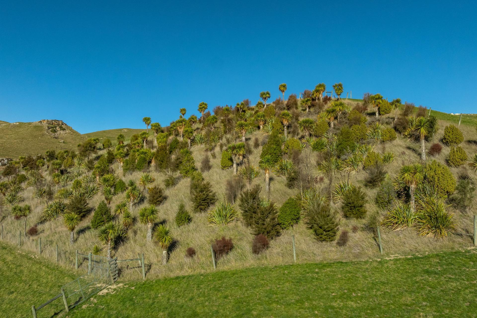 530 Weka Pass Road, Weka Pass