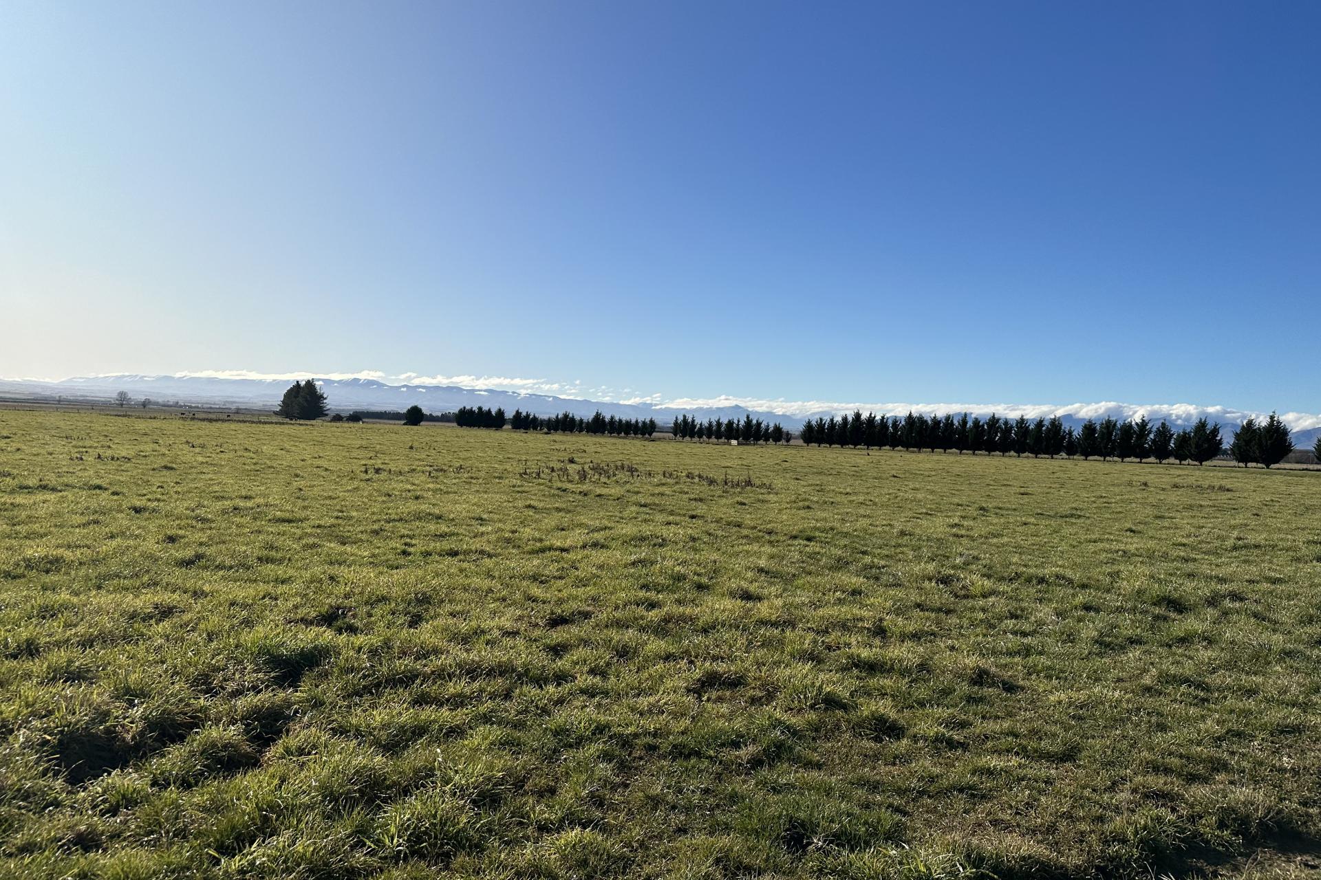 1586 Maniototo Road, Patearoa