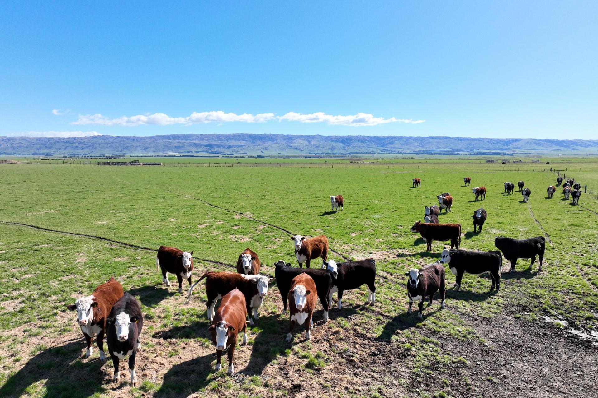 1586 Maniototo Road, Patearoa