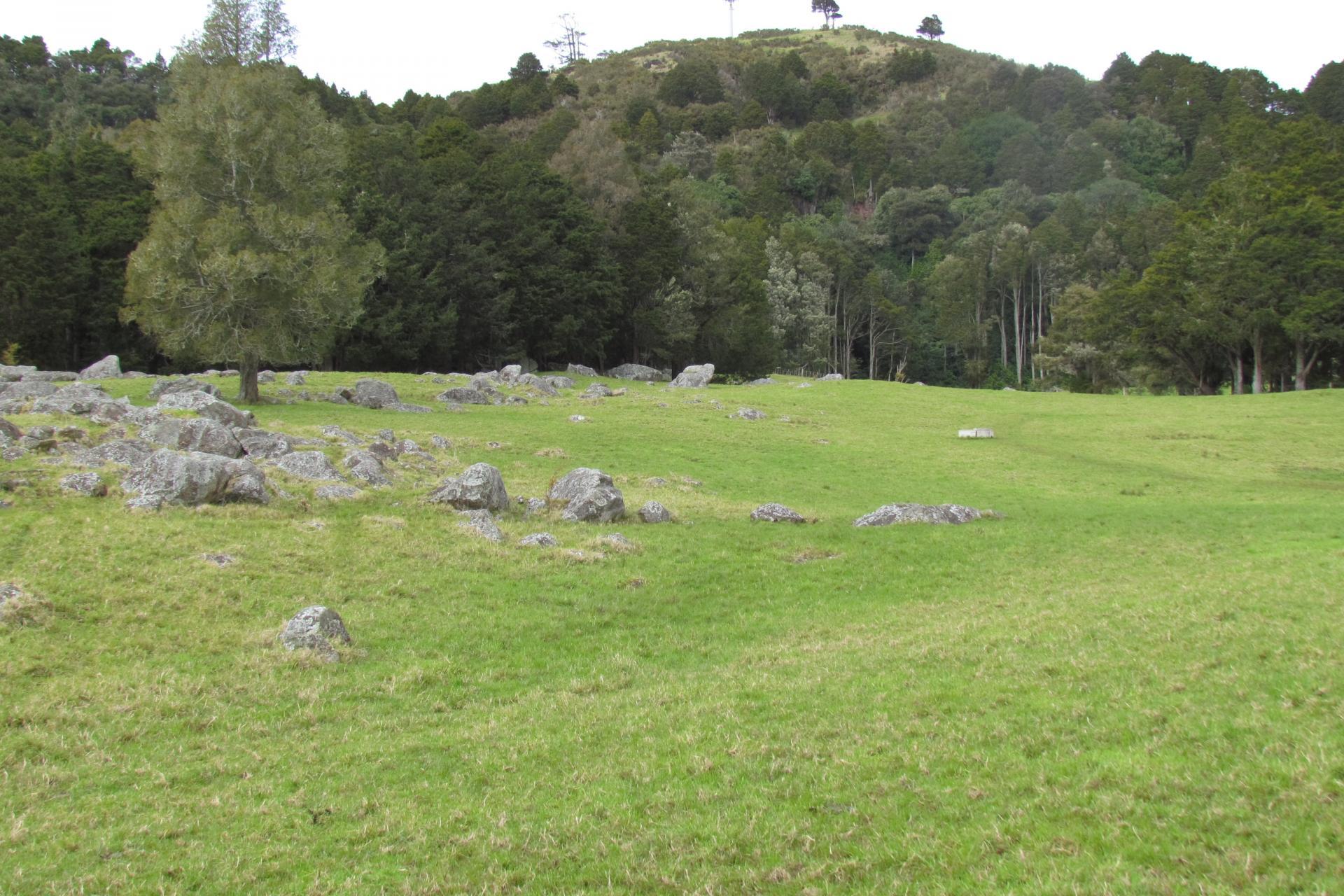 Tremain Road, Ruatangata West