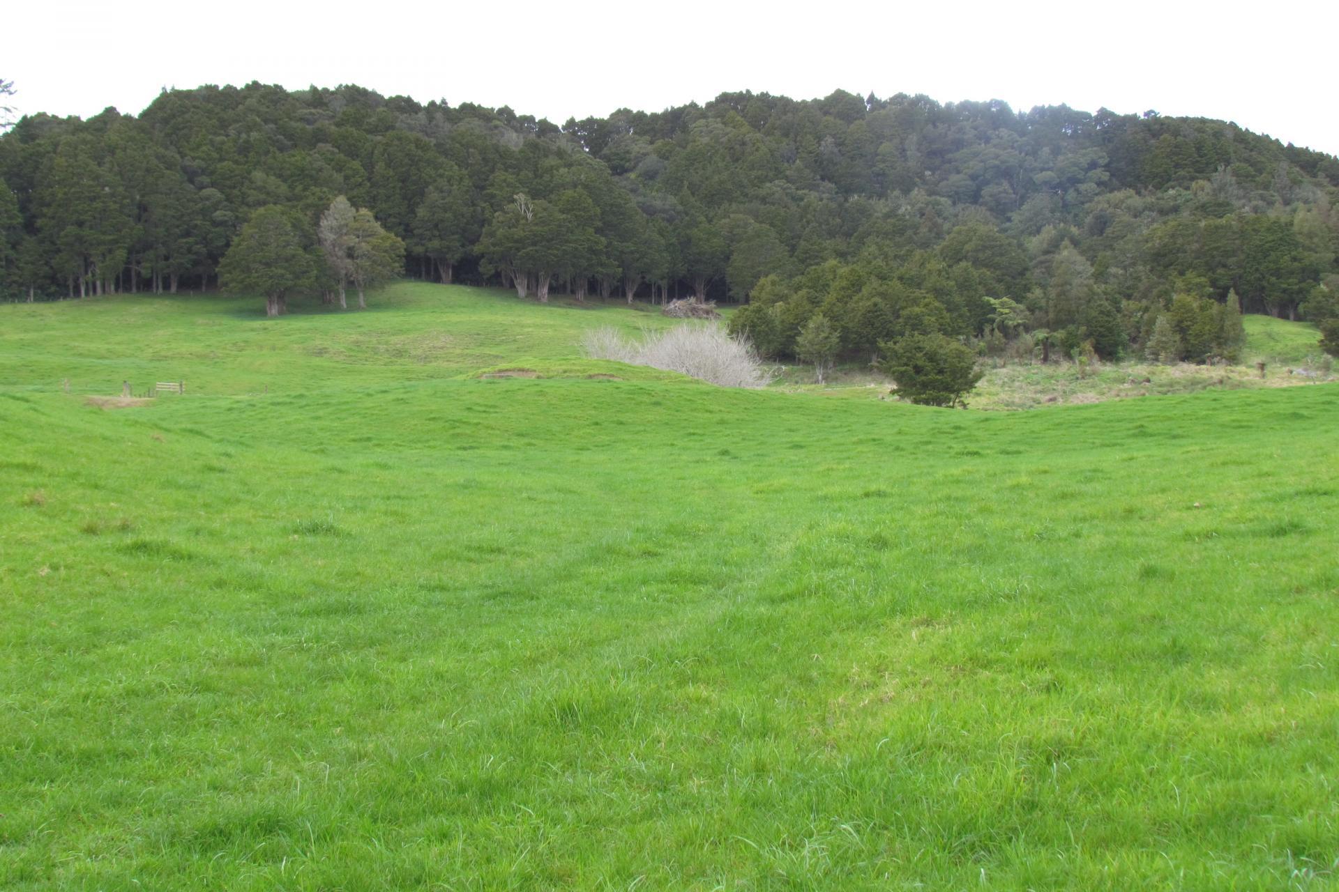 Tremain Road, Ruatangata West