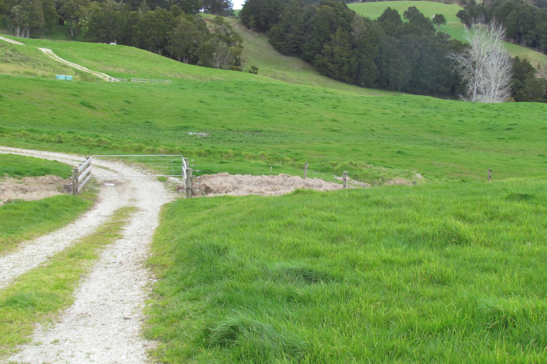 Tremain Road, Ruatangata West