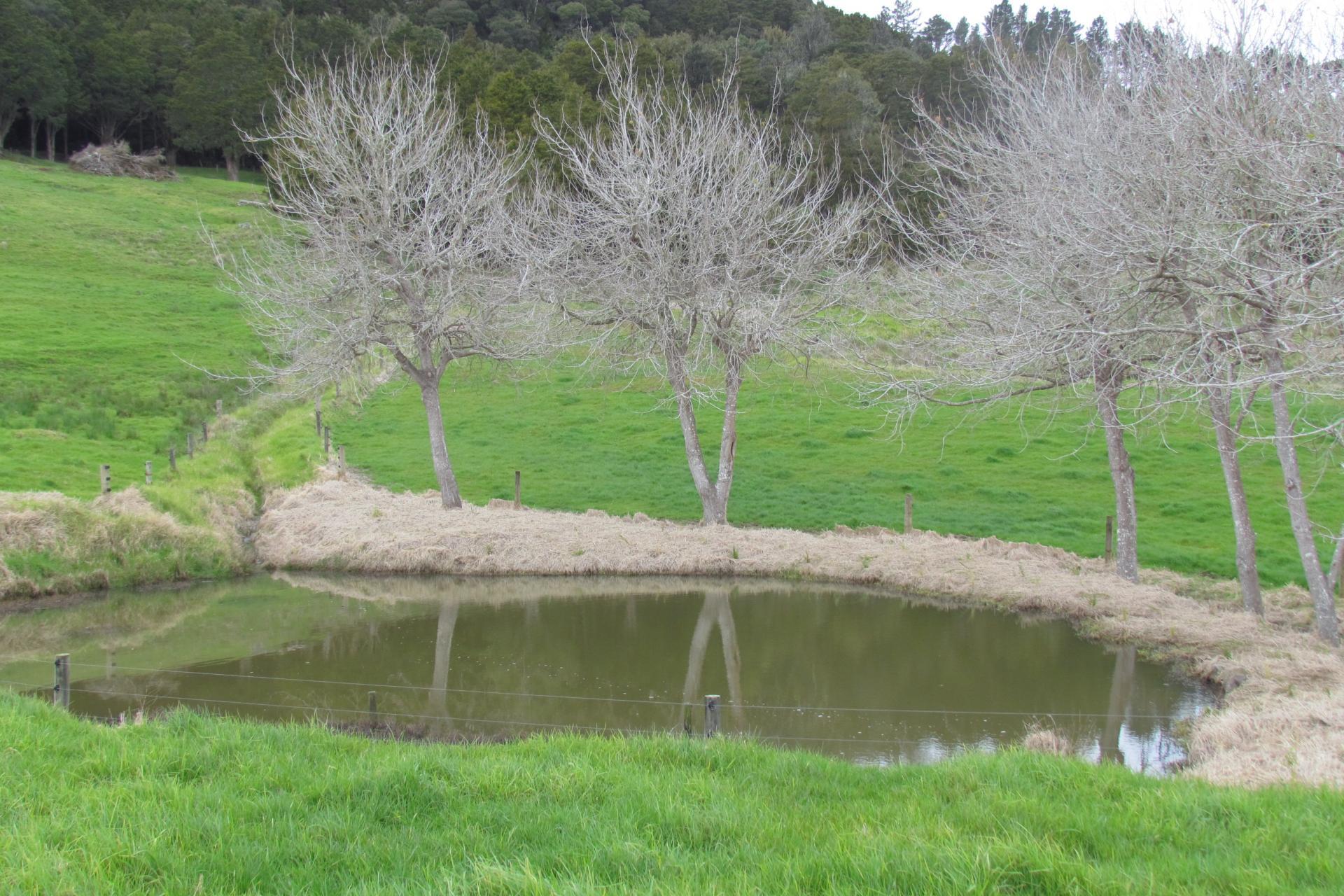 Tremain Road, Ruatangata West
