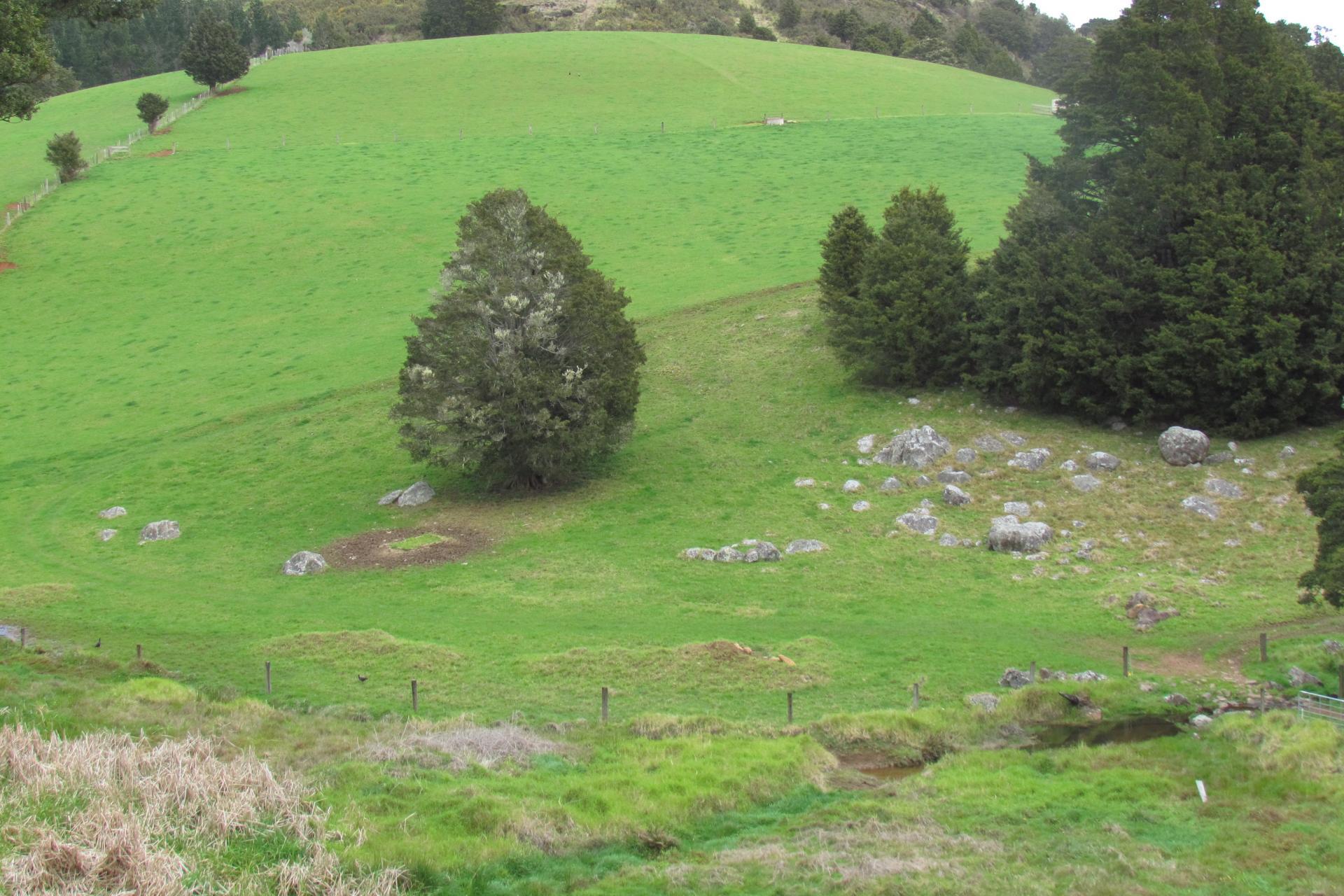 Tremain Road, Ruatangata West
