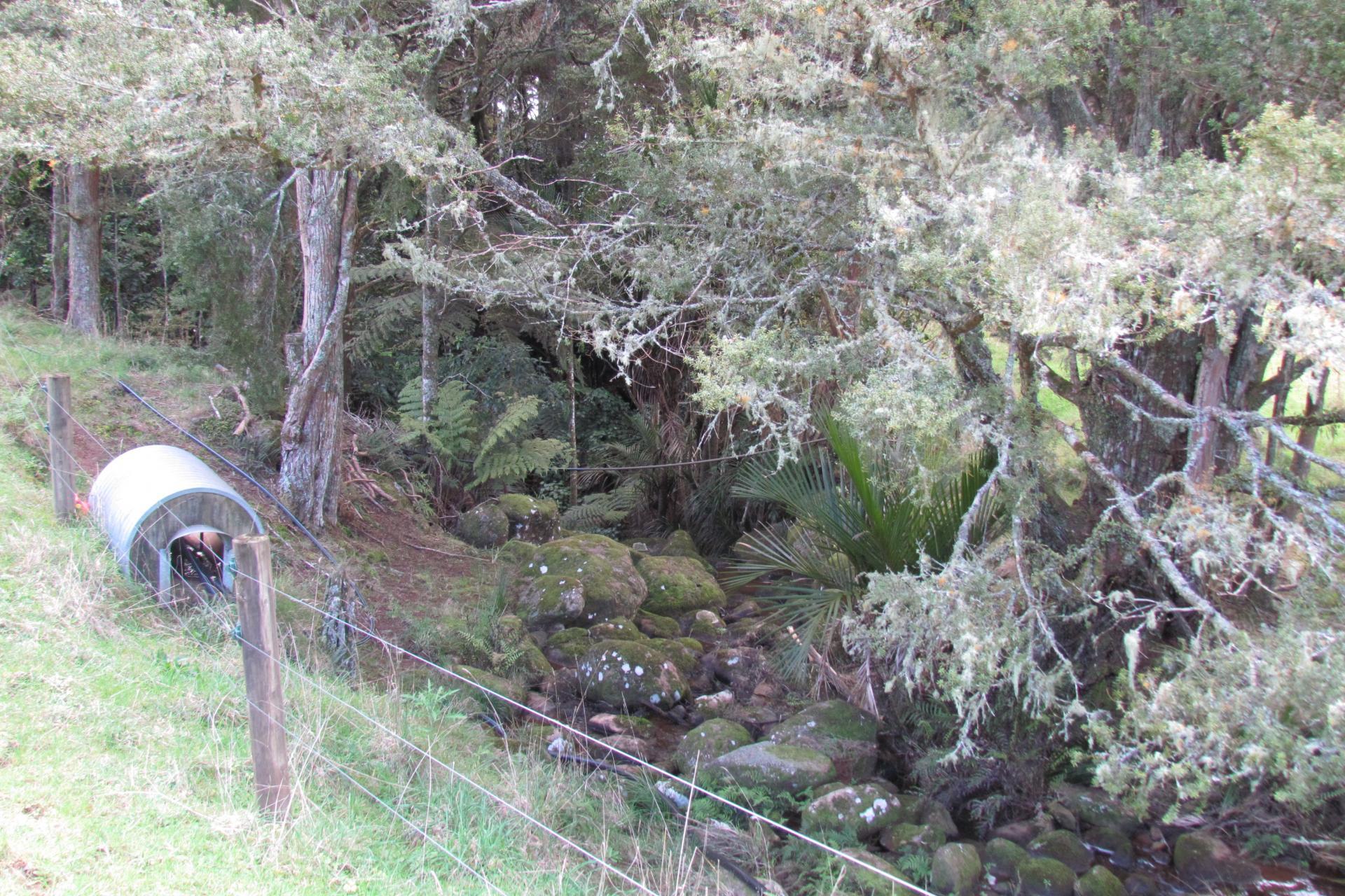 Tremain Road, Ruatangata West