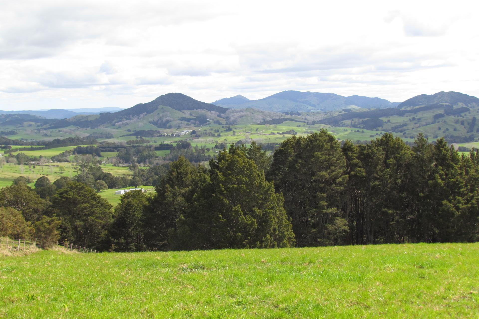 Tremain Road, Ruatangata West