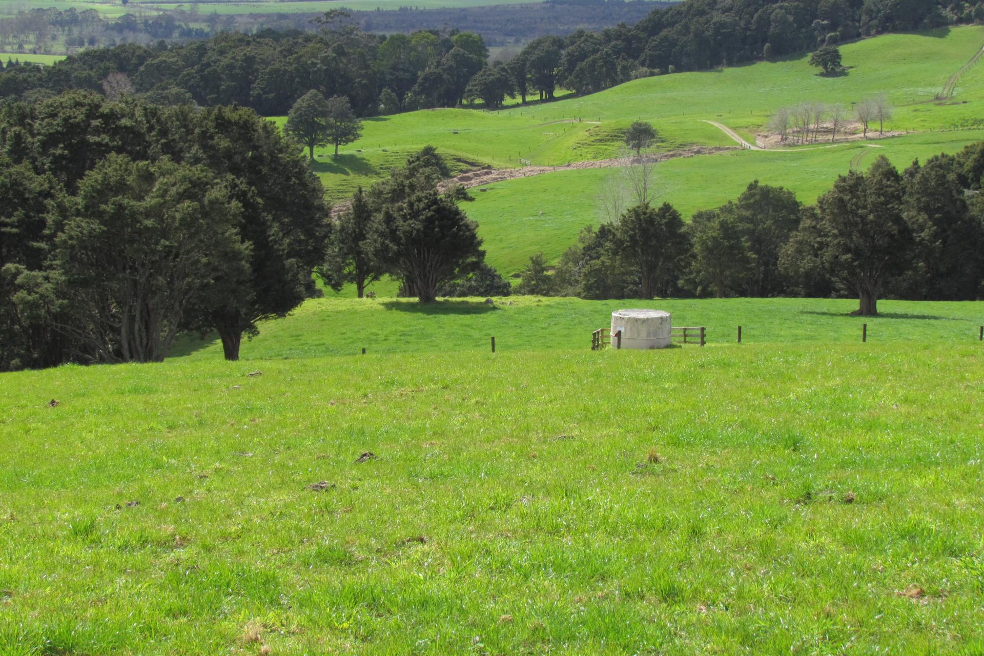 Tremain Road, Ruatangata West
