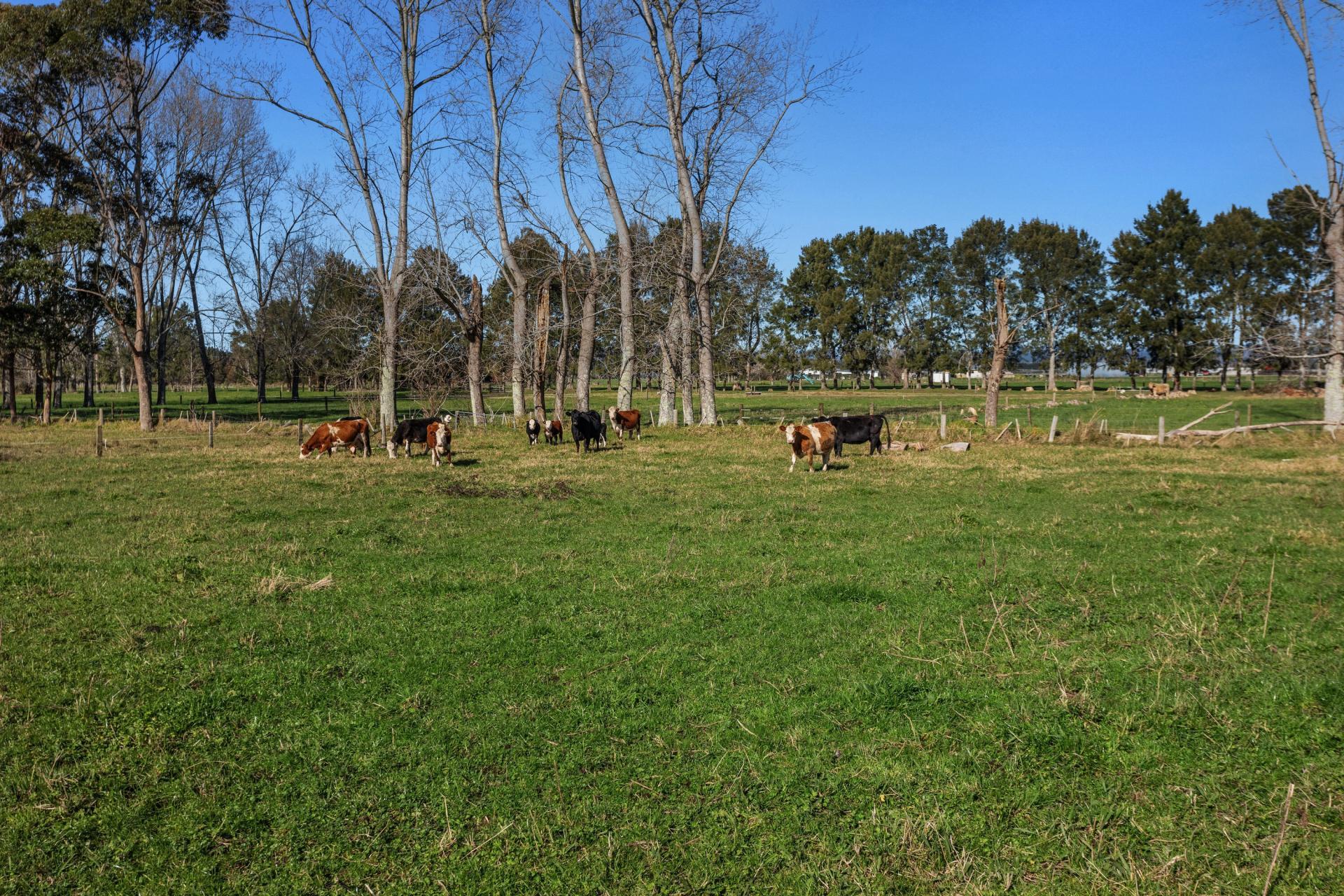 54 Lewis Road, Otakiri