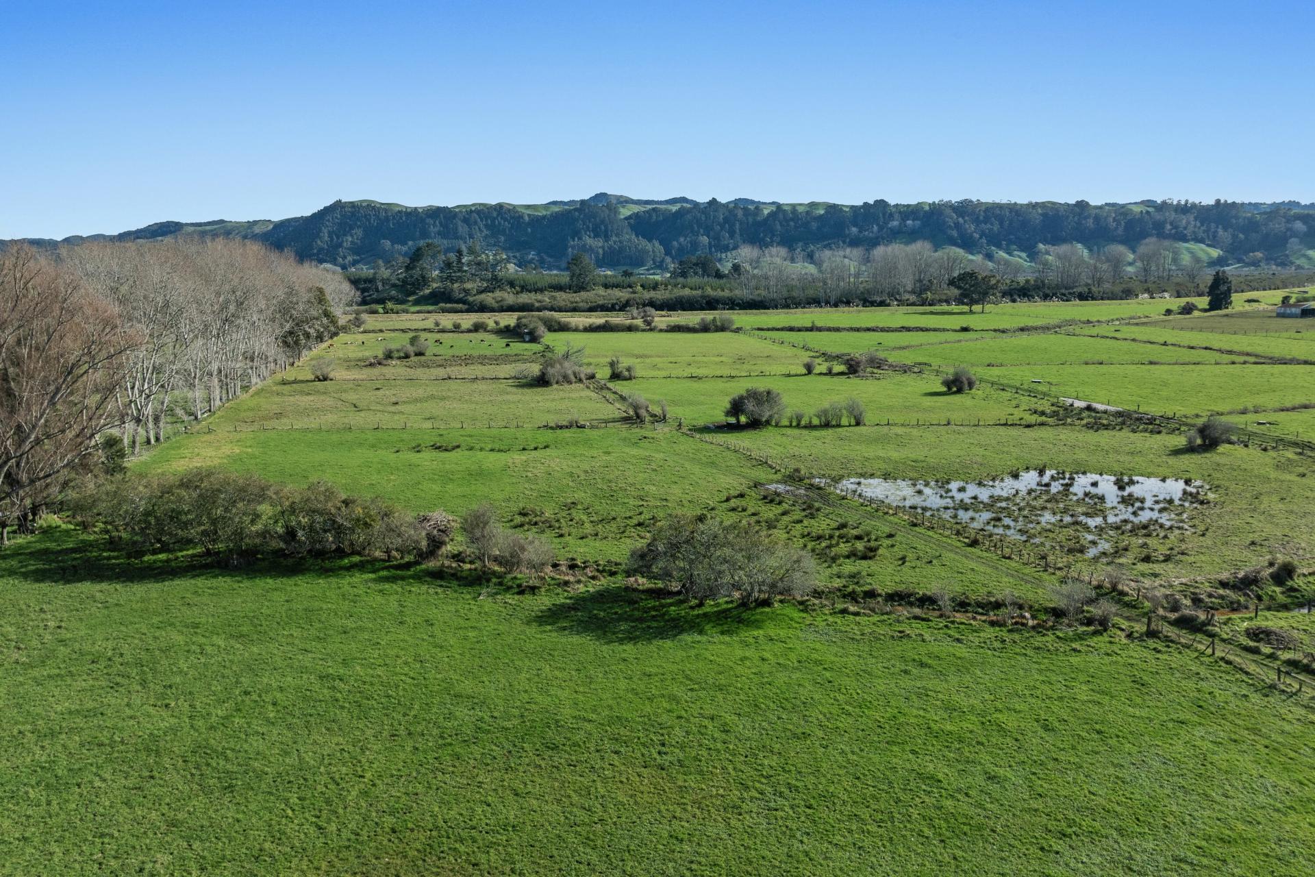 54 Lewis Road, Otakiri