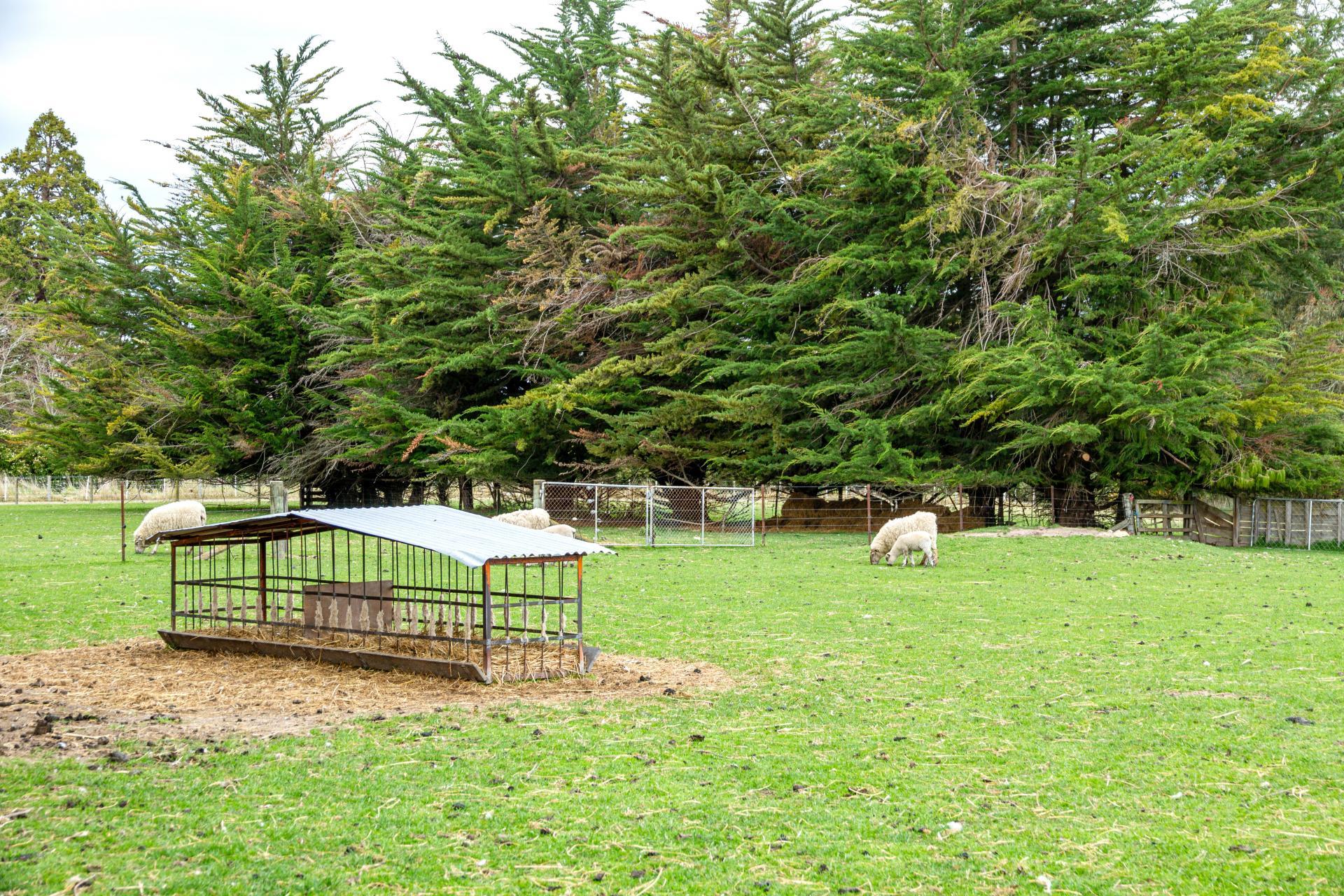 302 Beaconsfield Road, Fairview