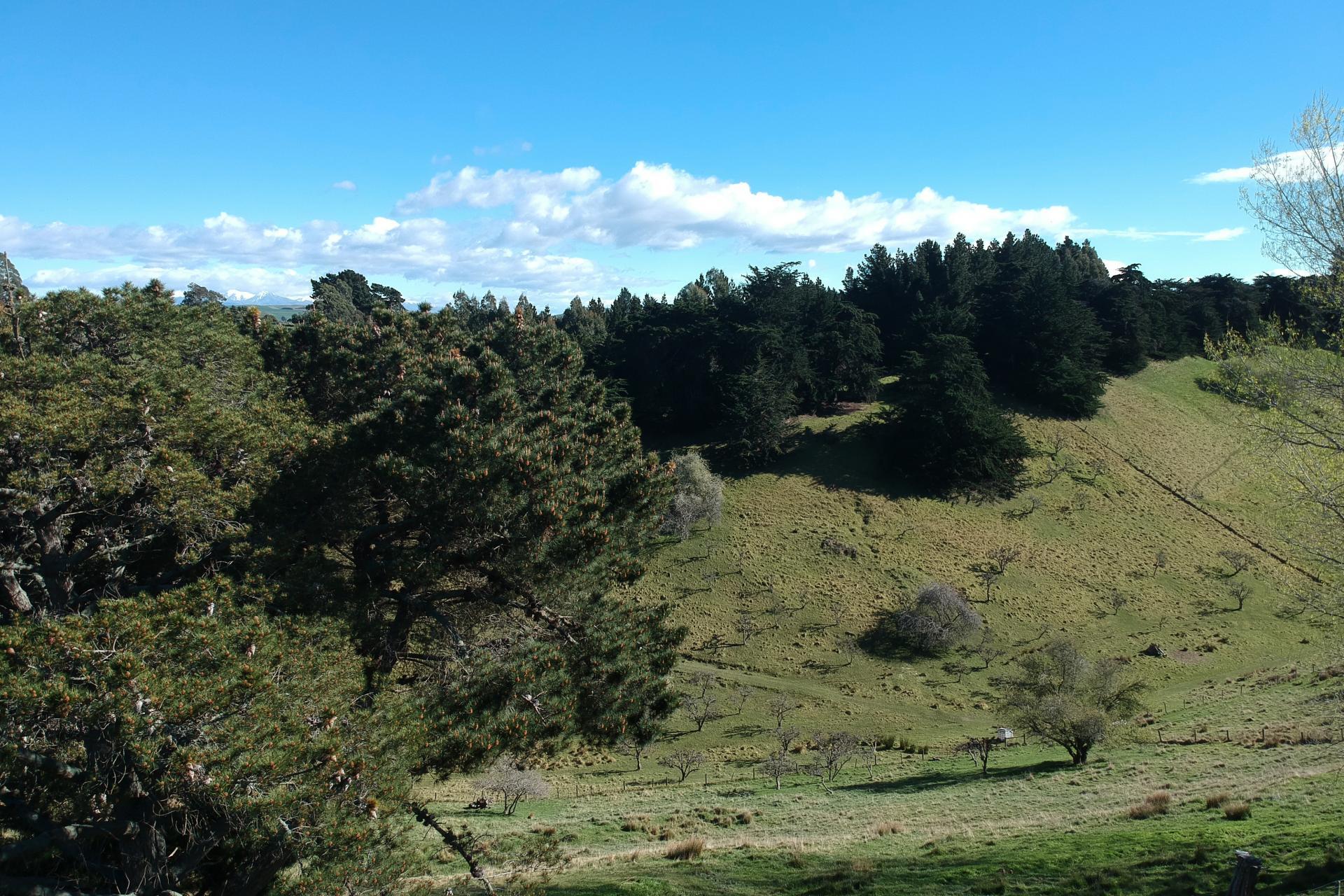 20 Reservoir Road, Oamaru