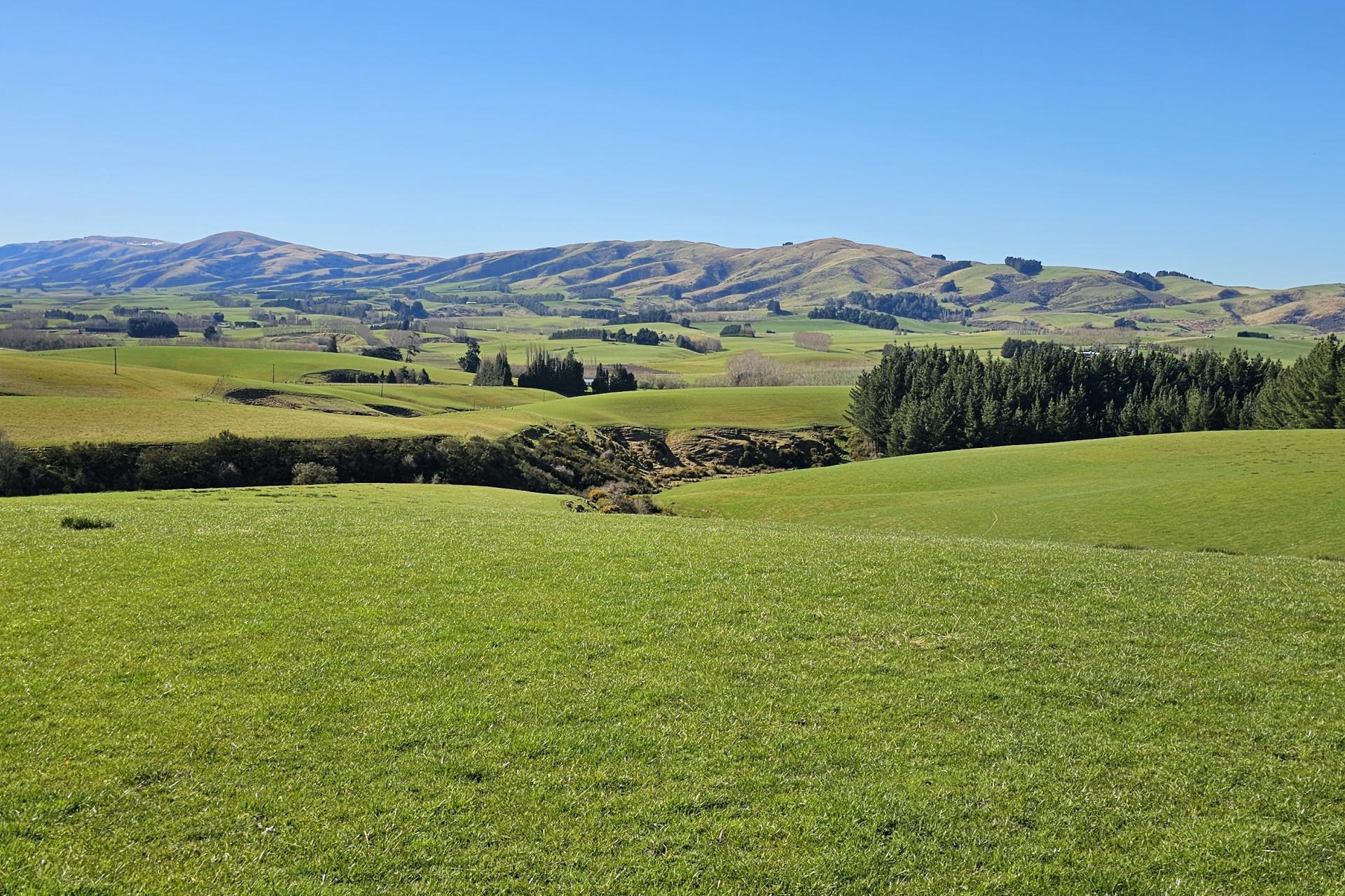 565 Bushy Park Road, Waikaka