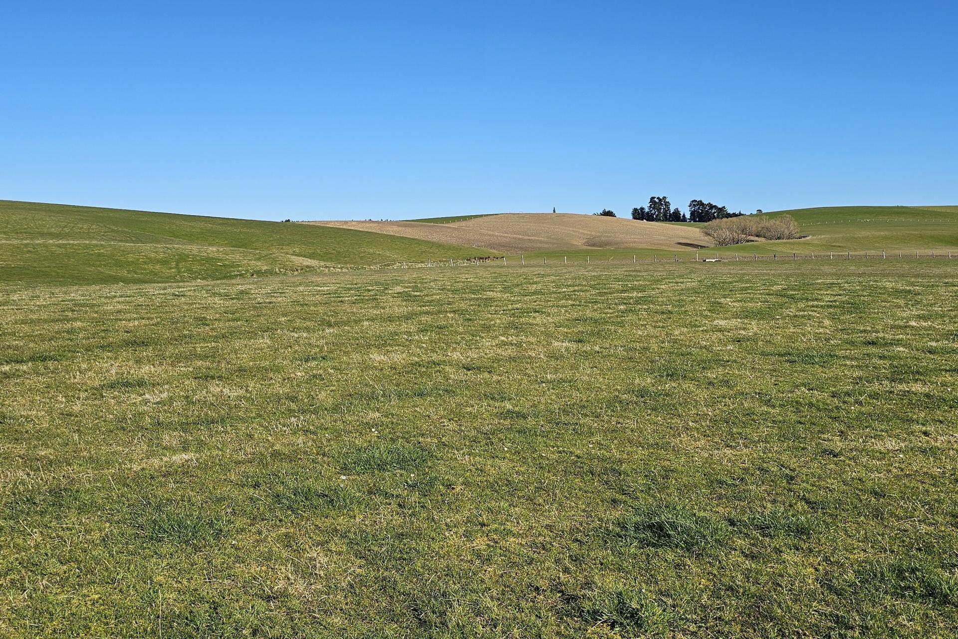 565 Bushy Park Road, Waikaka