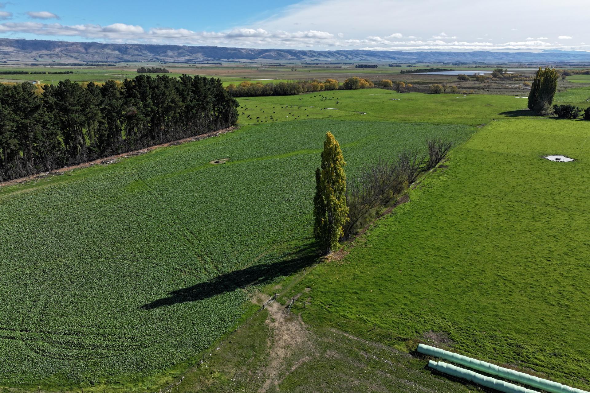 315 and 1564 Patearoa Ranfurly Road, Patearoa