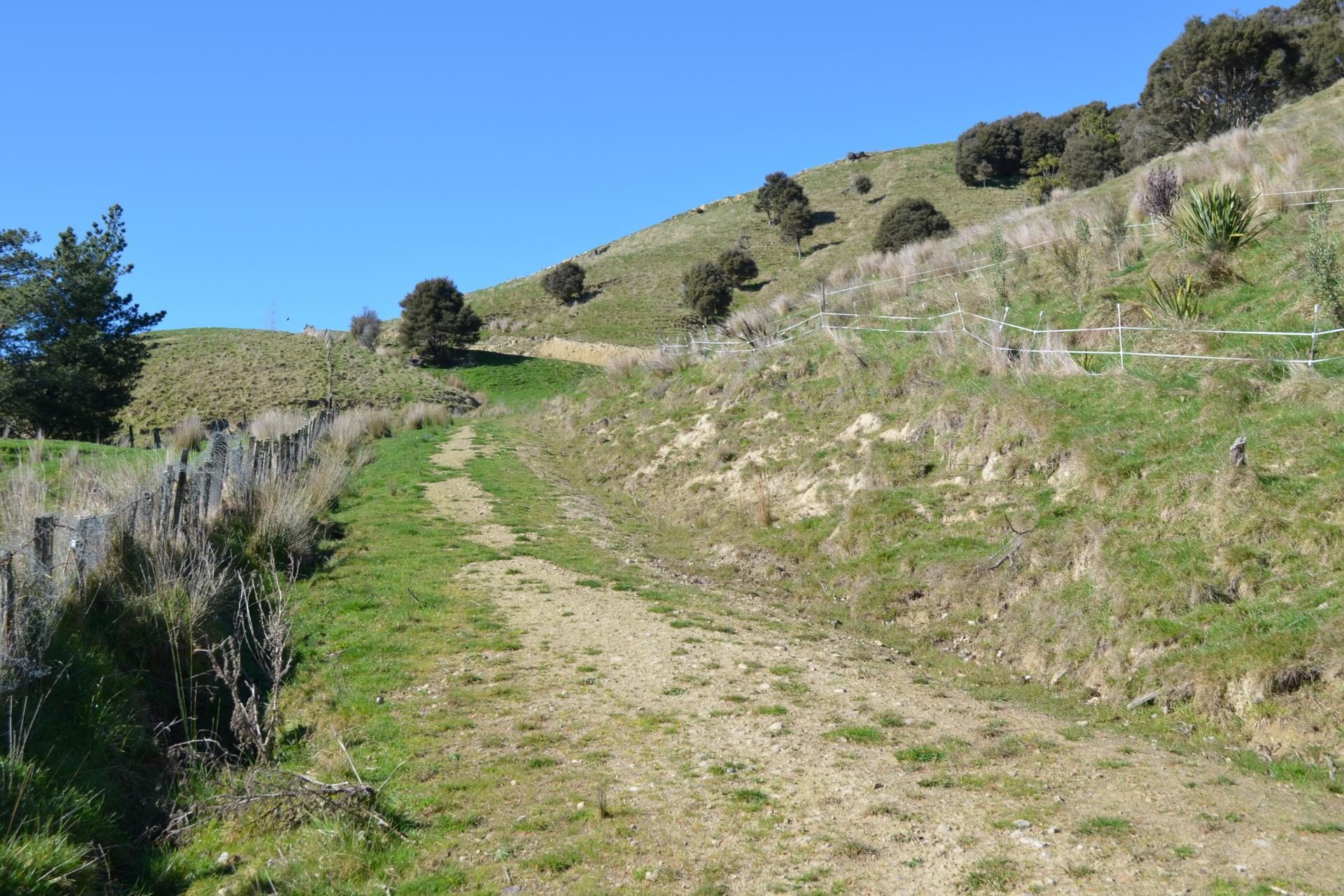 Mangapurupuru Road, Bideford
