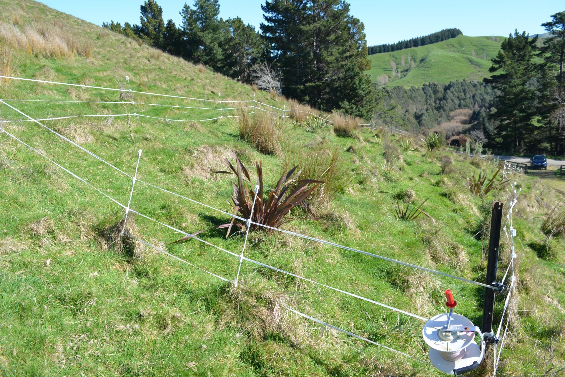 Mangapurupuru Road, Bideford