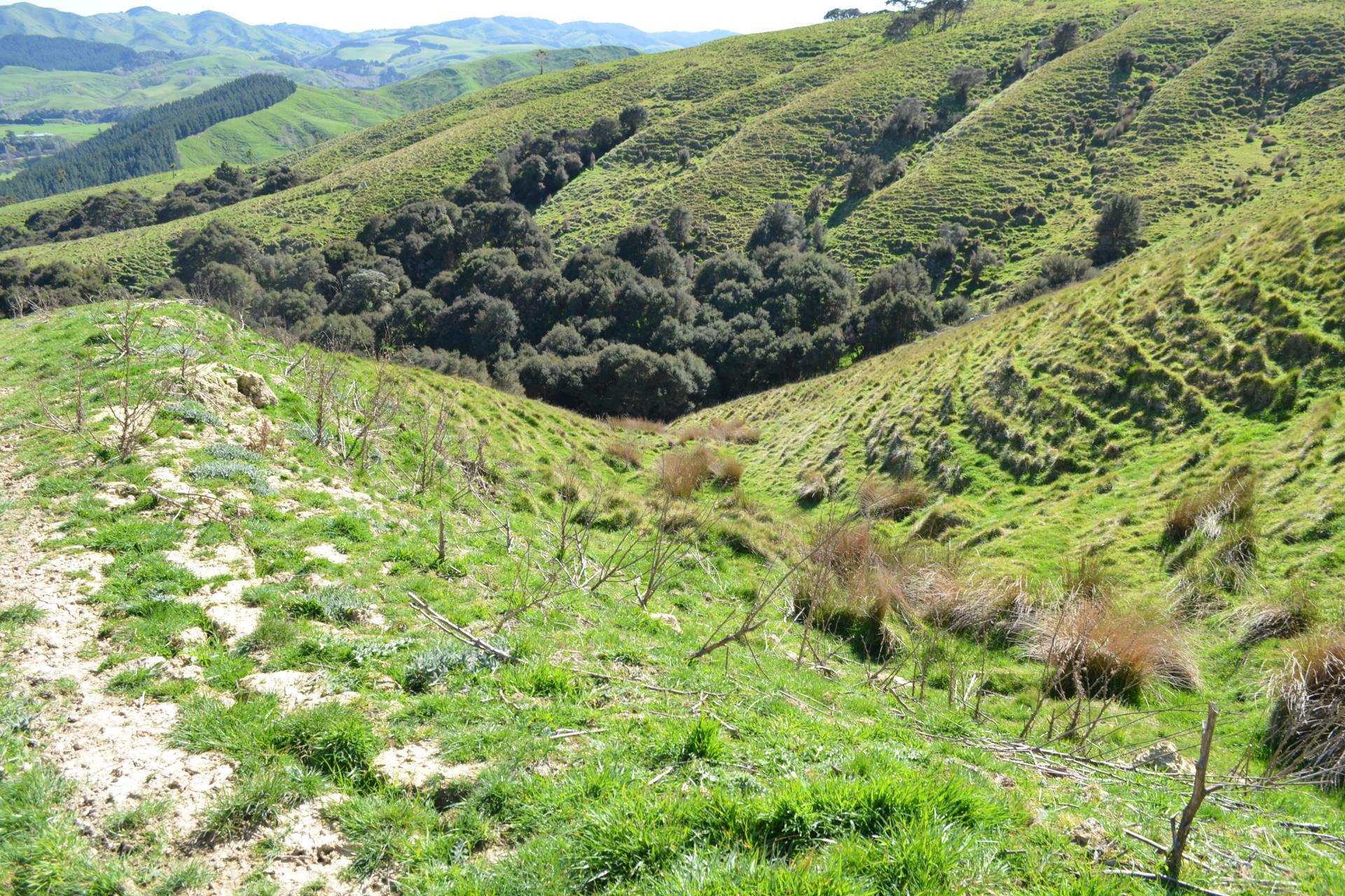 Mangapurupuru Road, Bideford