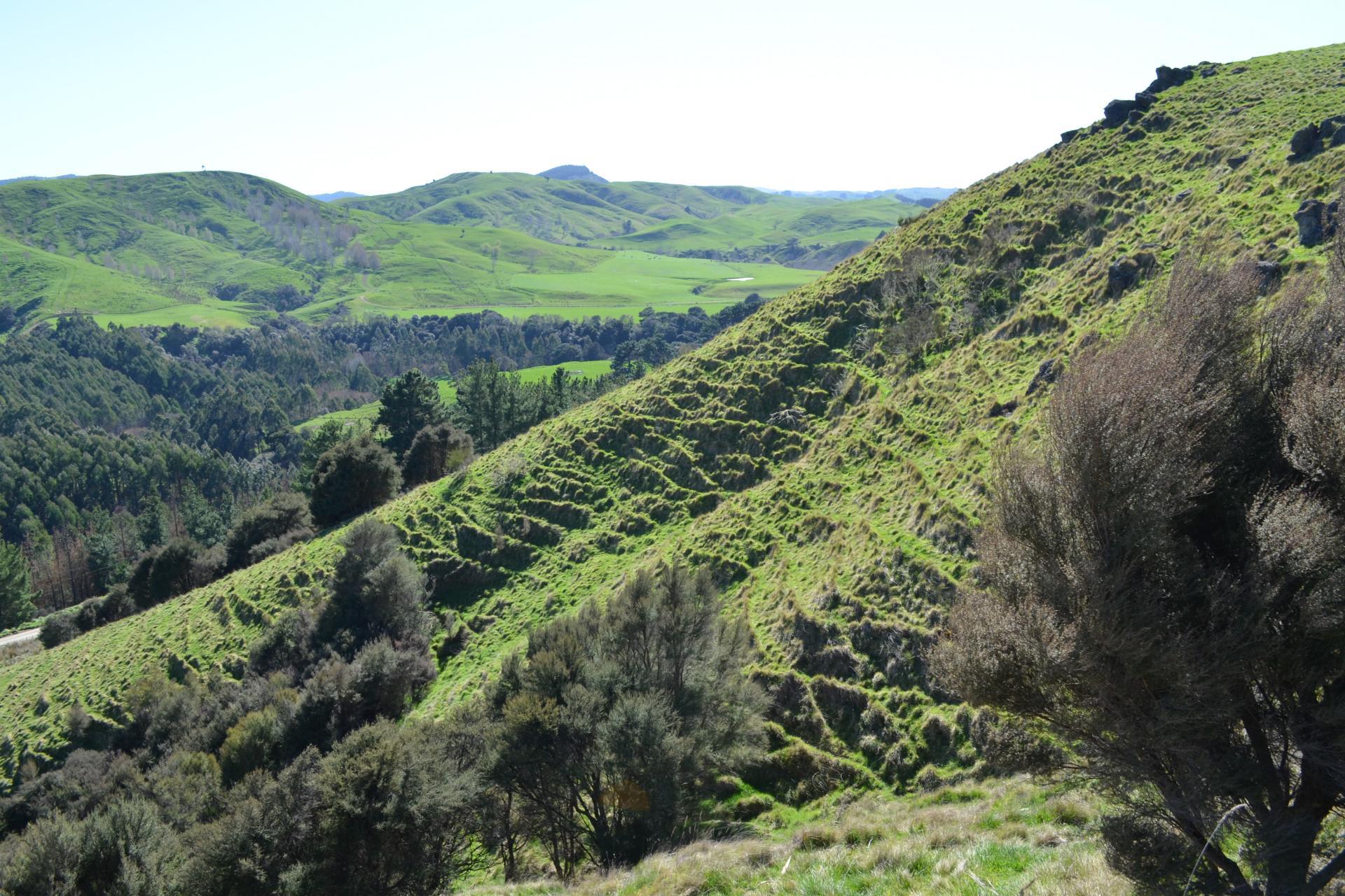 Mangapurupuru Road, Bideford