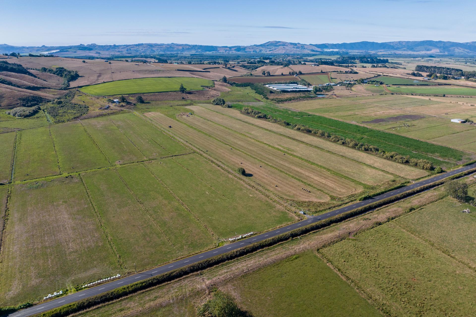 229 Wily Road, Puni
