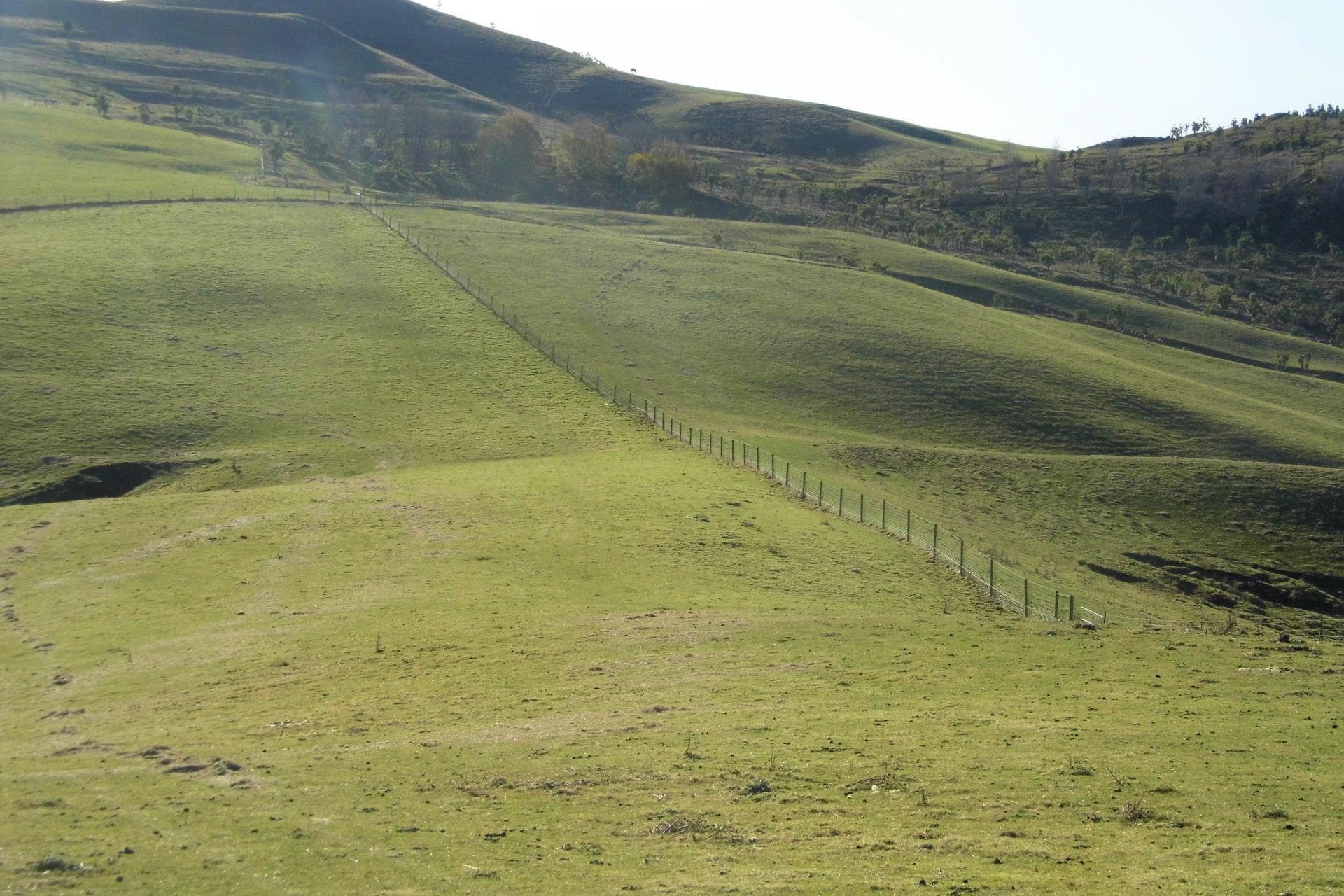 691 Kauru Hill Road, Kauru Hill
