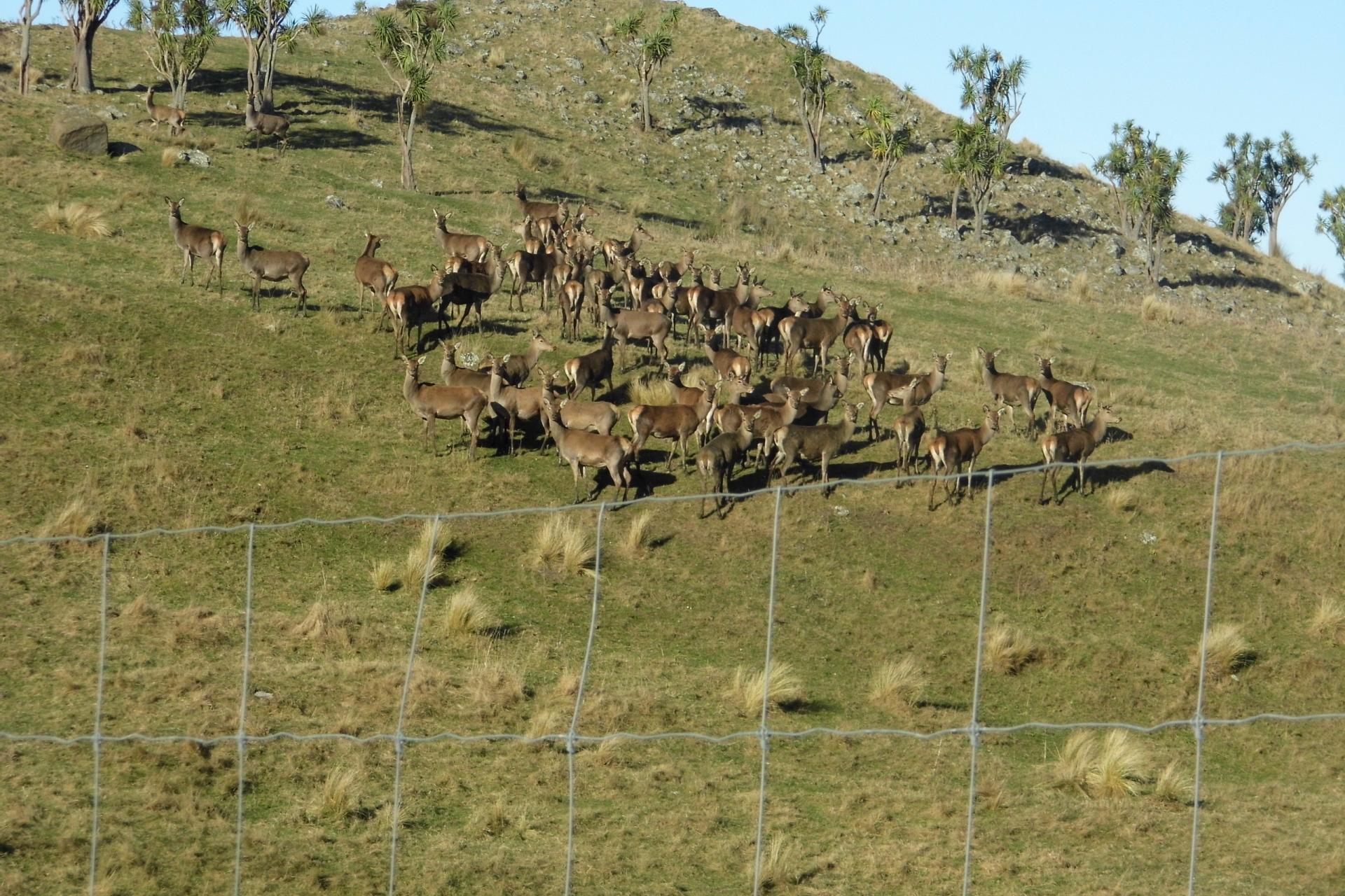 691 Kauru Hill Road, Kauru Hill