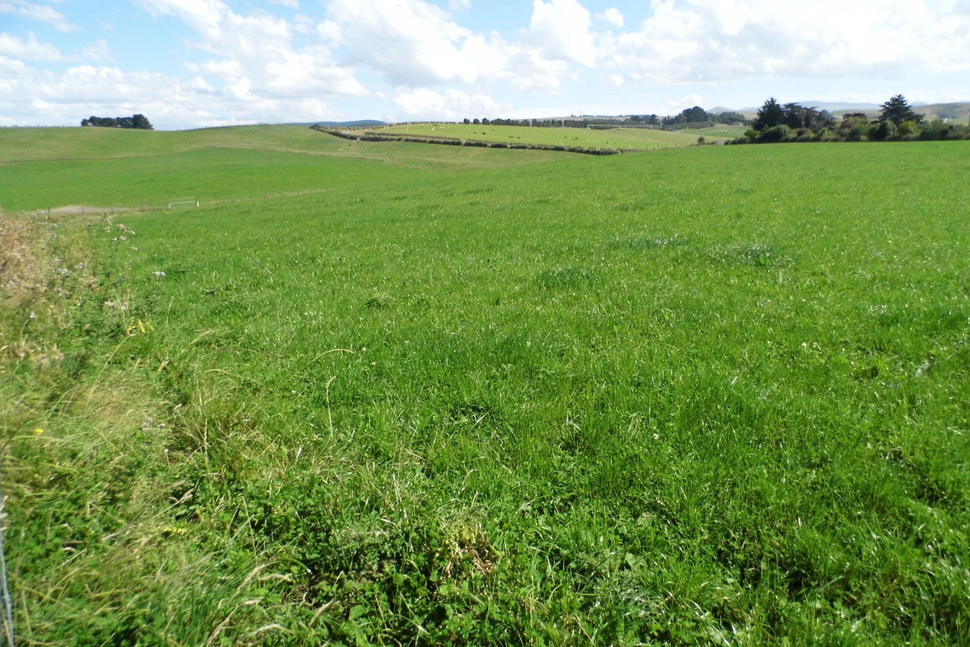 691 Kauru Hill Road, Kauru Hill
