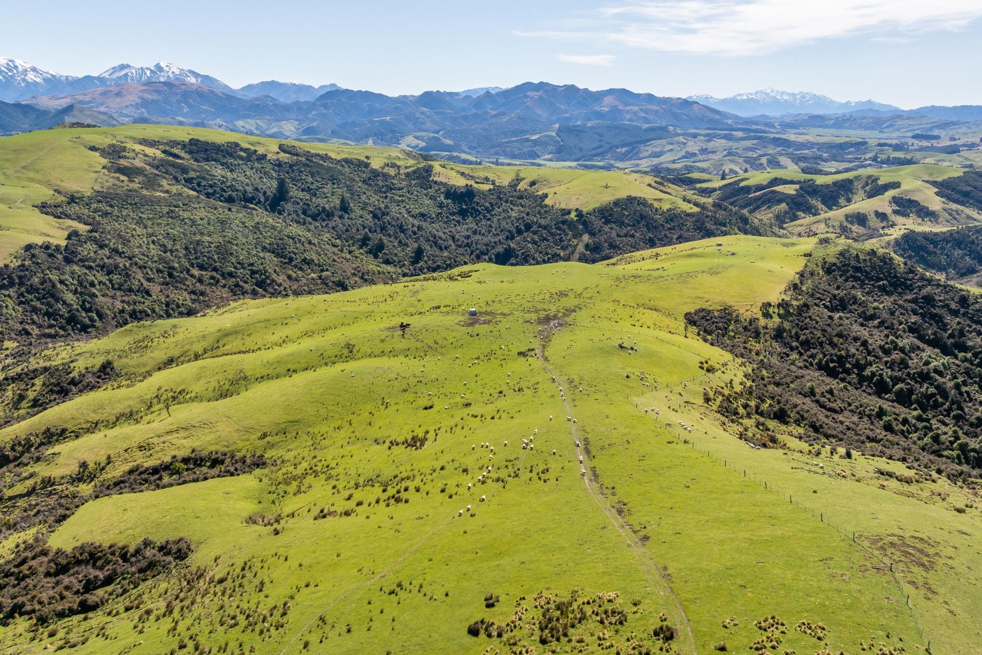 1246 Leader Road West, Waiau