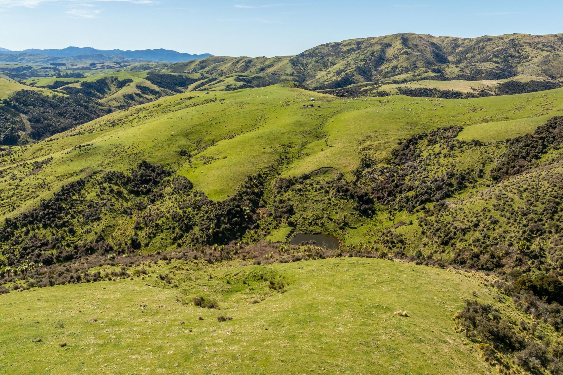 1246 Leader Road West, Waiau
