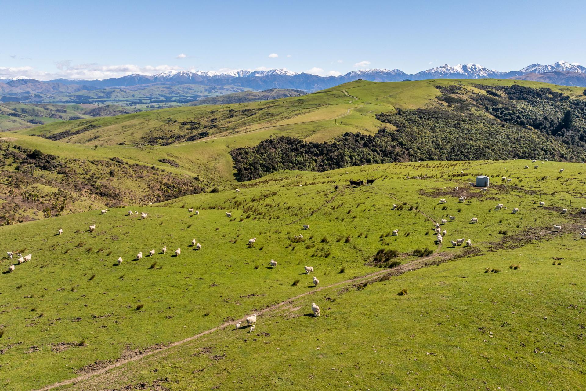 1246 Leader Road West, Waiau