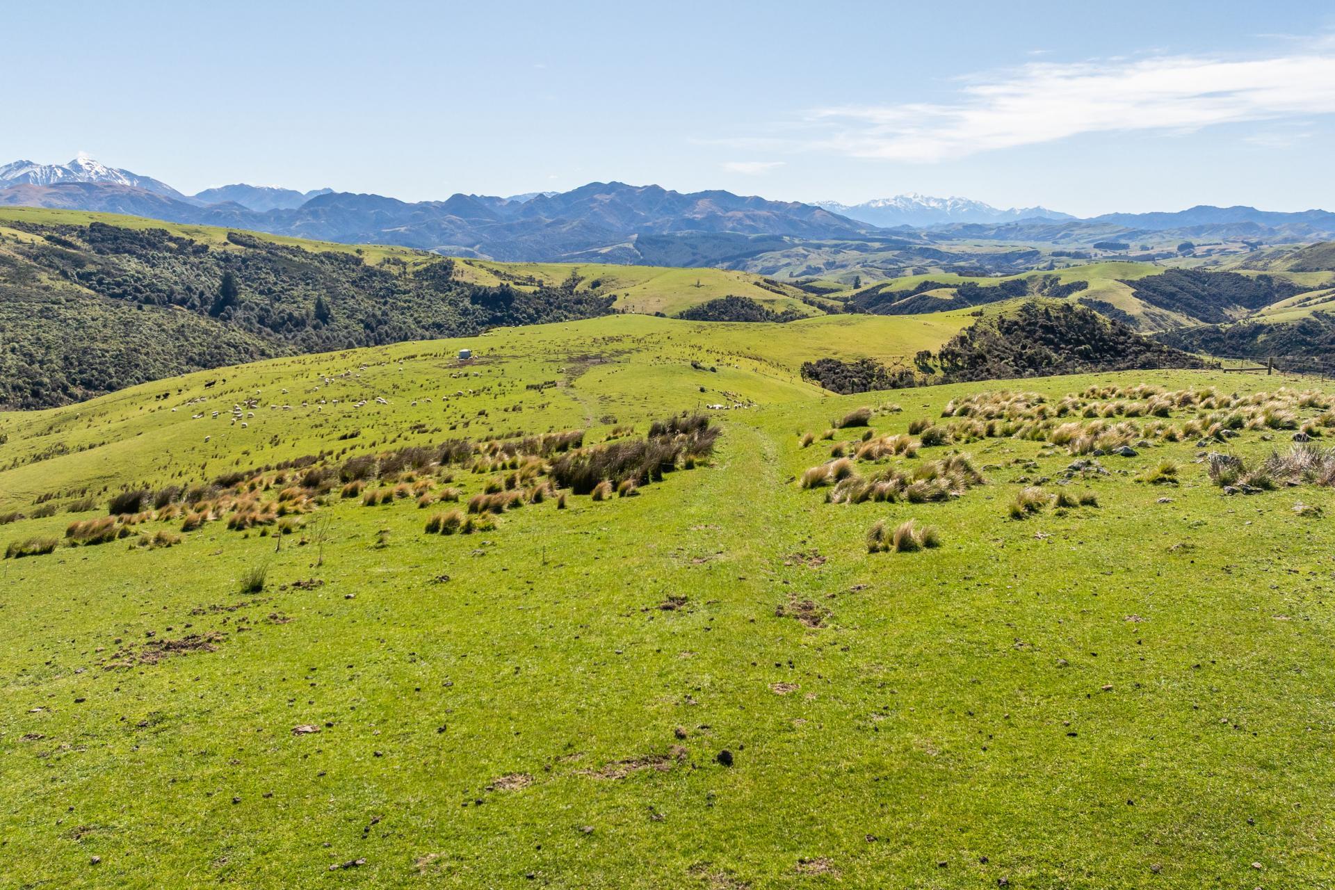 1246 Leader Road West, Waiau