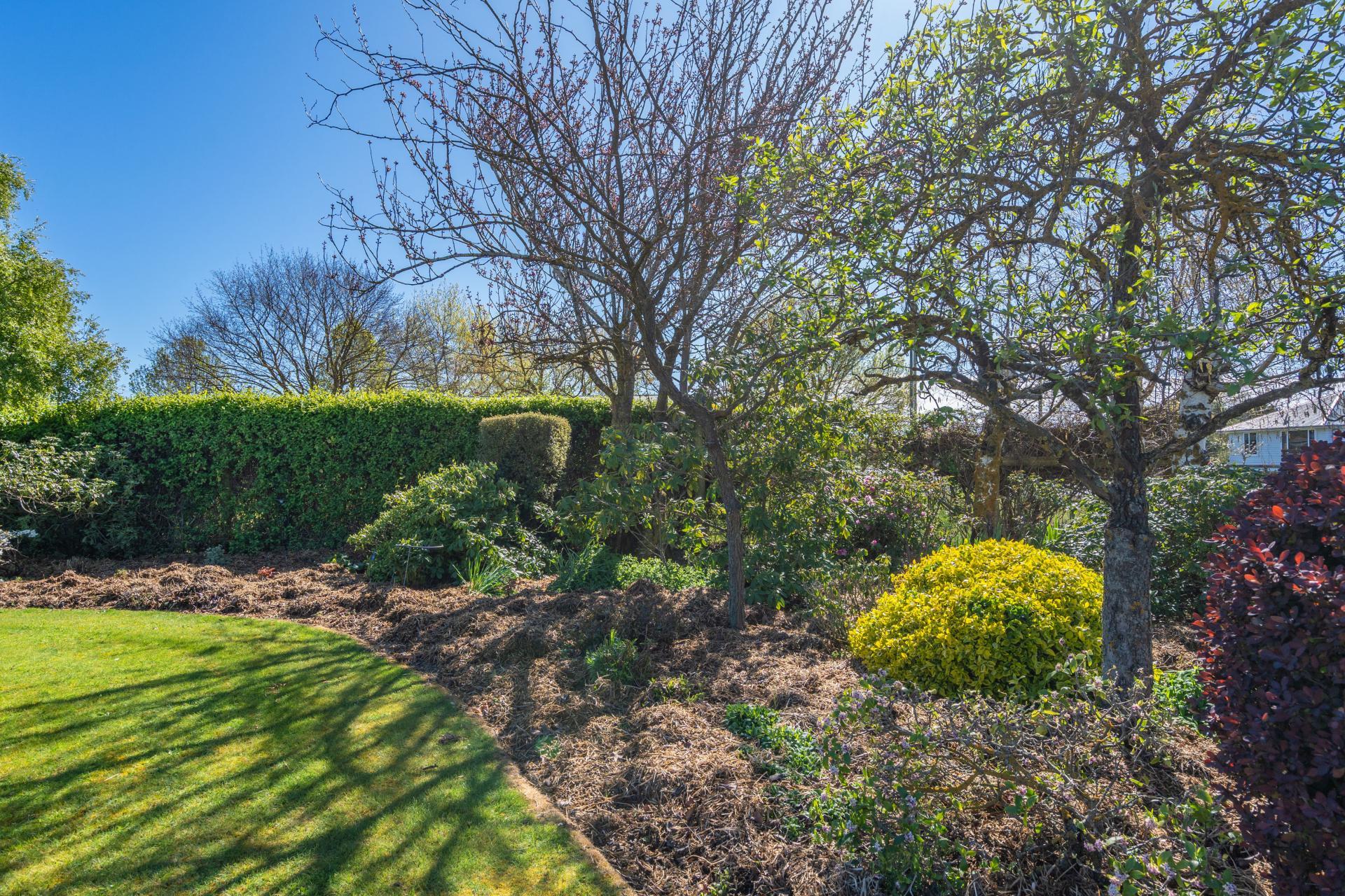 39 Montrose Avenue, Culverden