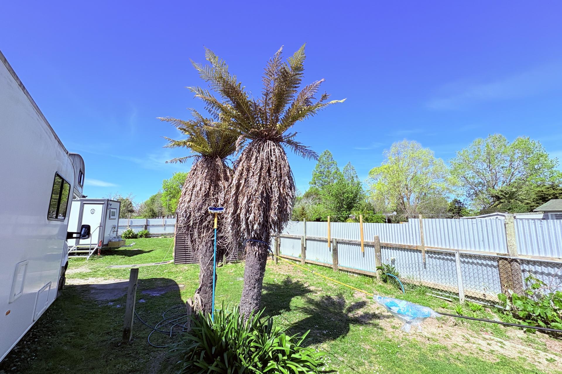 6 Freyberg Street, Wairoa