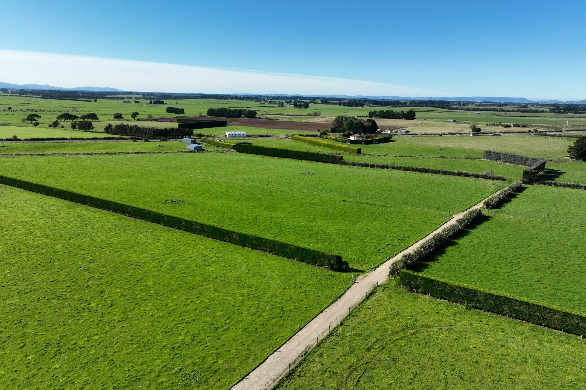 792 Rimu Road, Farm 4 , Longbush