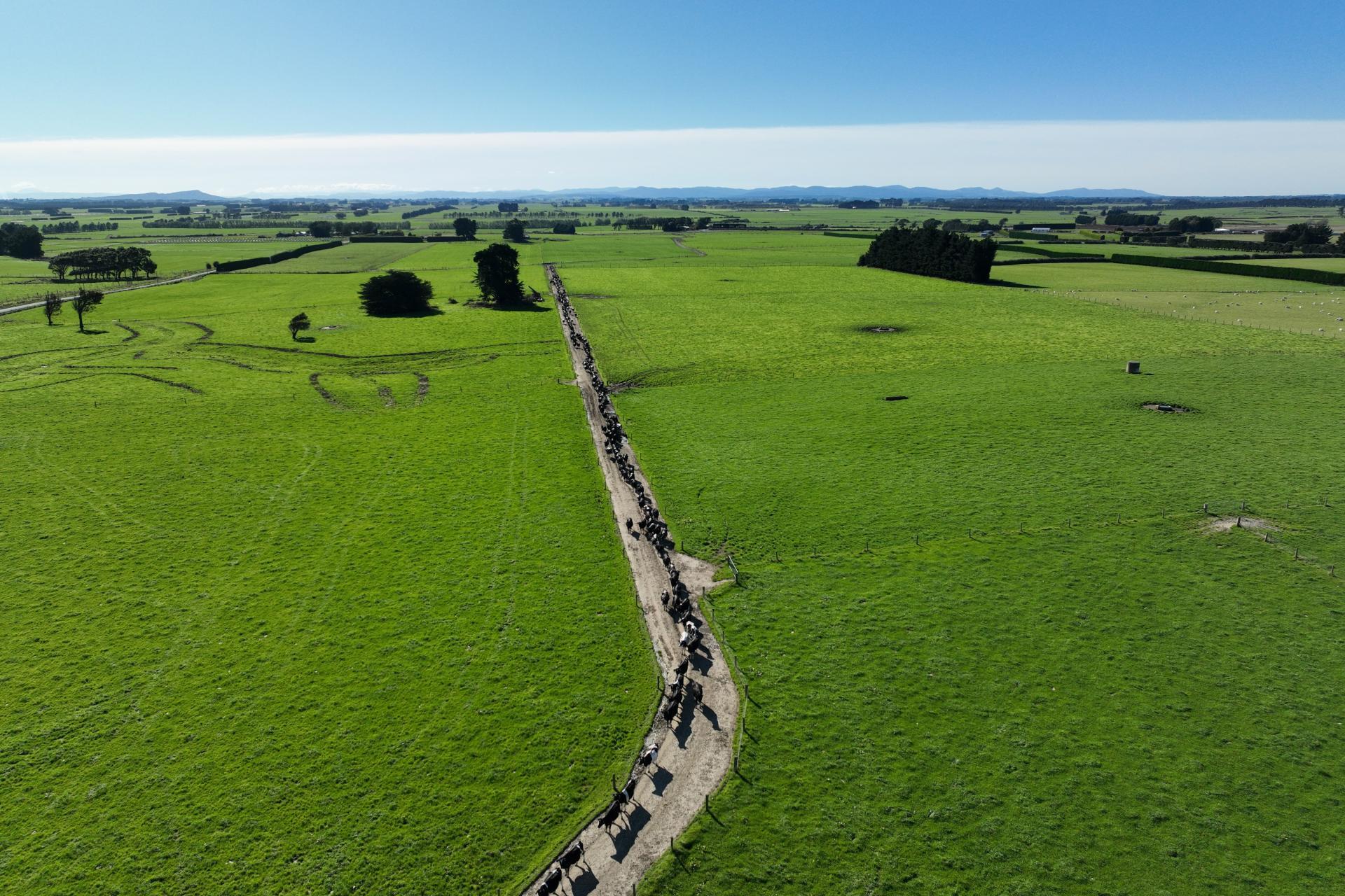 792 Rimu Road, Farm 4 , Longbush