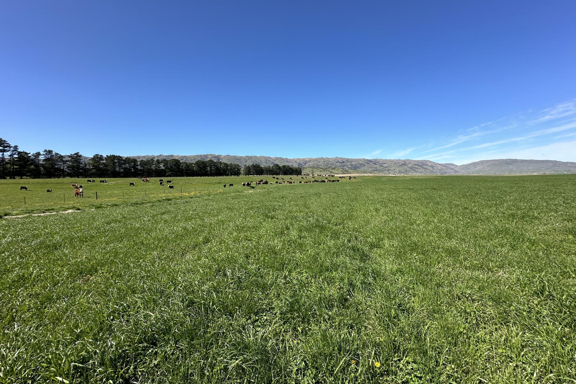 315 Patearoa Ranfurly Road, Patearoa