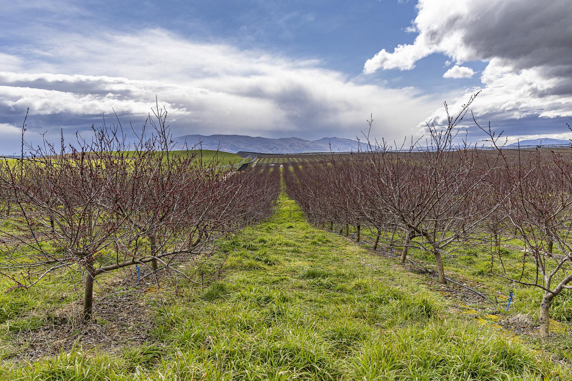 159 Thomson Gorge Road, Bendigo
