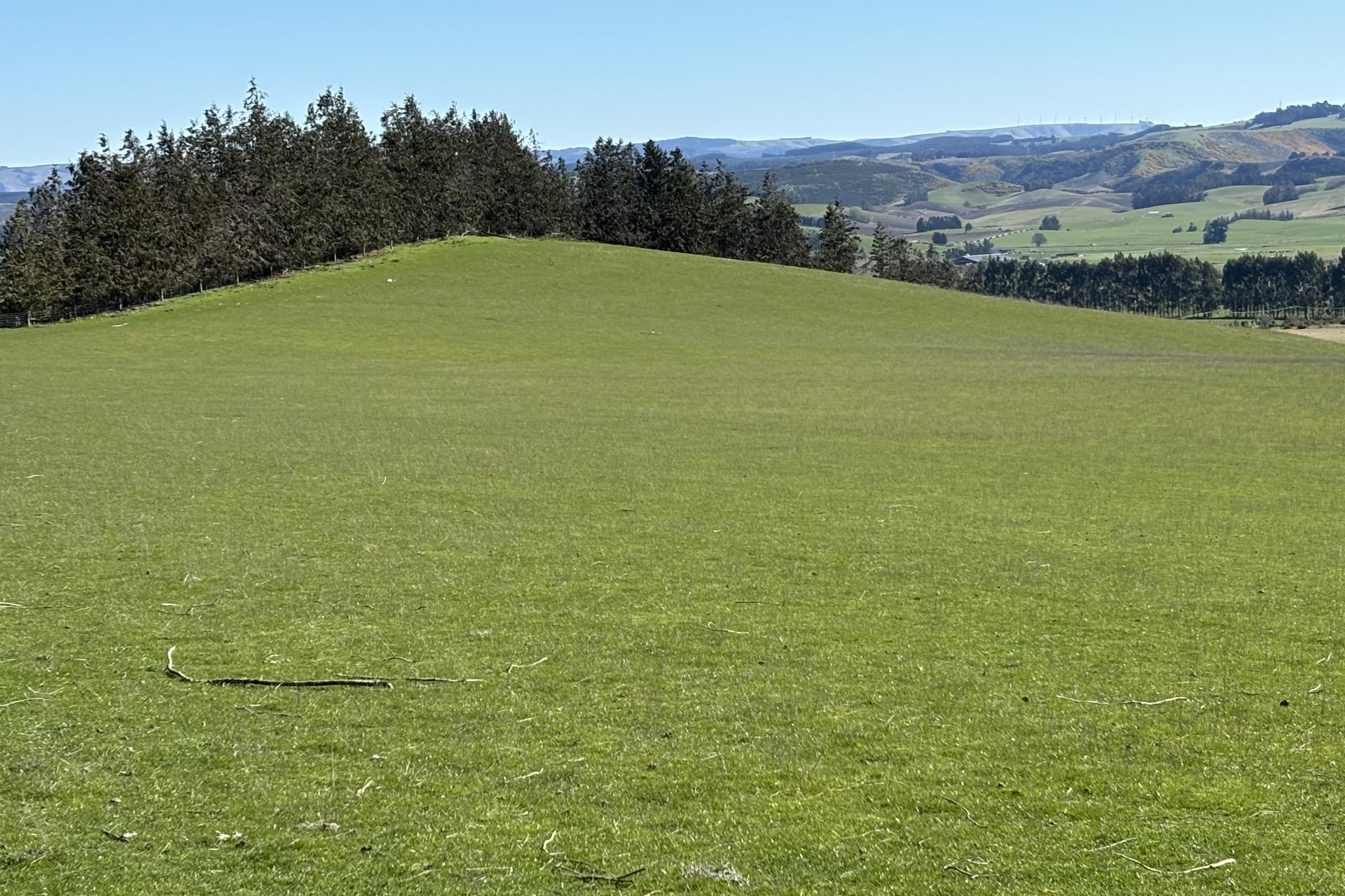 Waihola Highway, Milburn