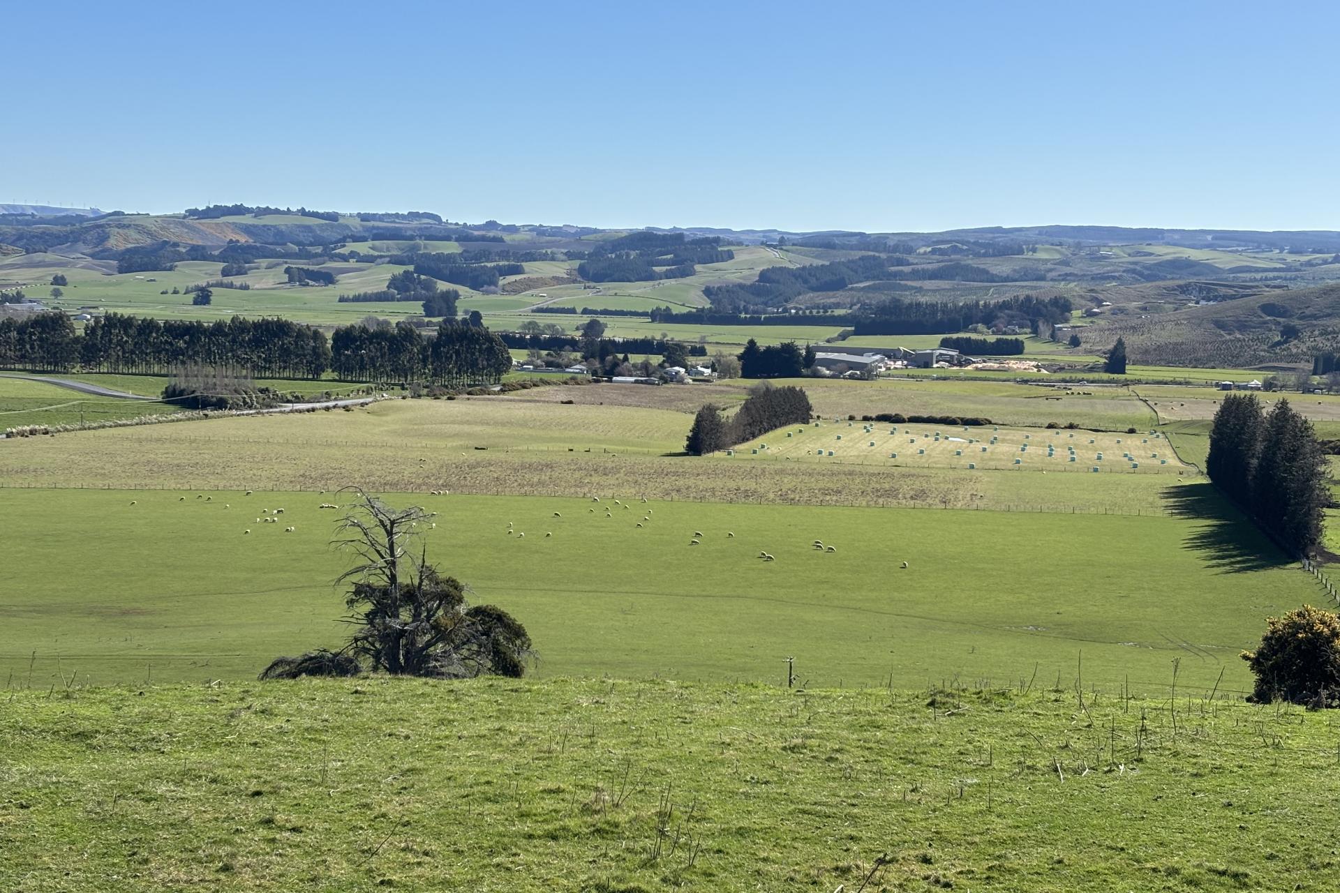 Waihola Highway, Milburn