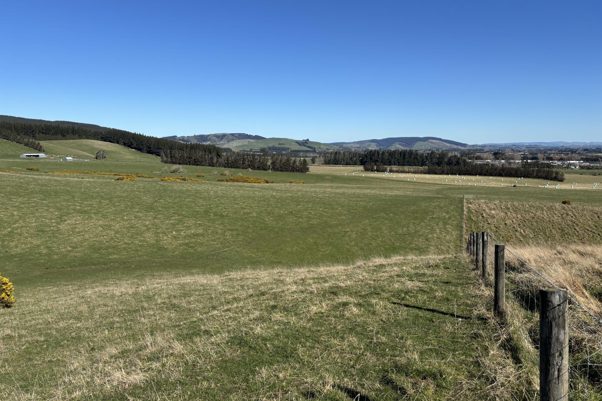 Waihola Highway, Milburn