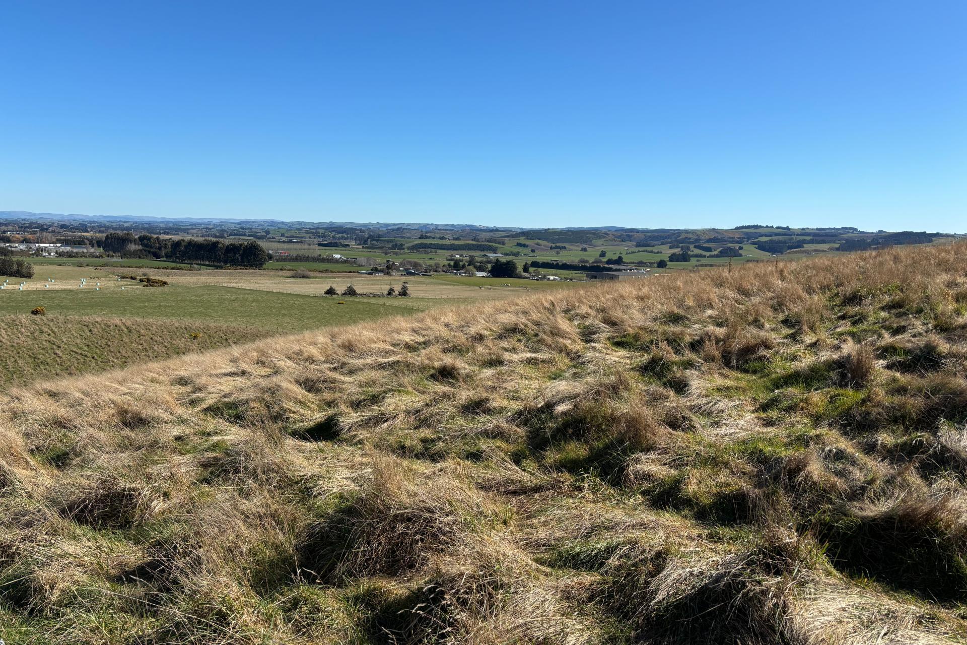 Waihola Highway, Milburn