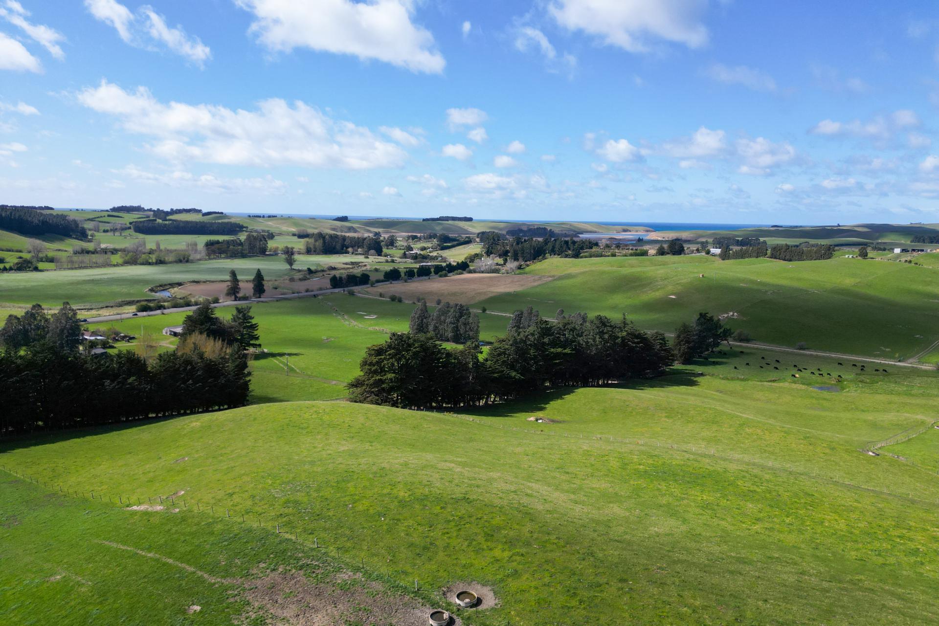 623 Palmerston-Waikouaiti Road Goodwood, Palmerston