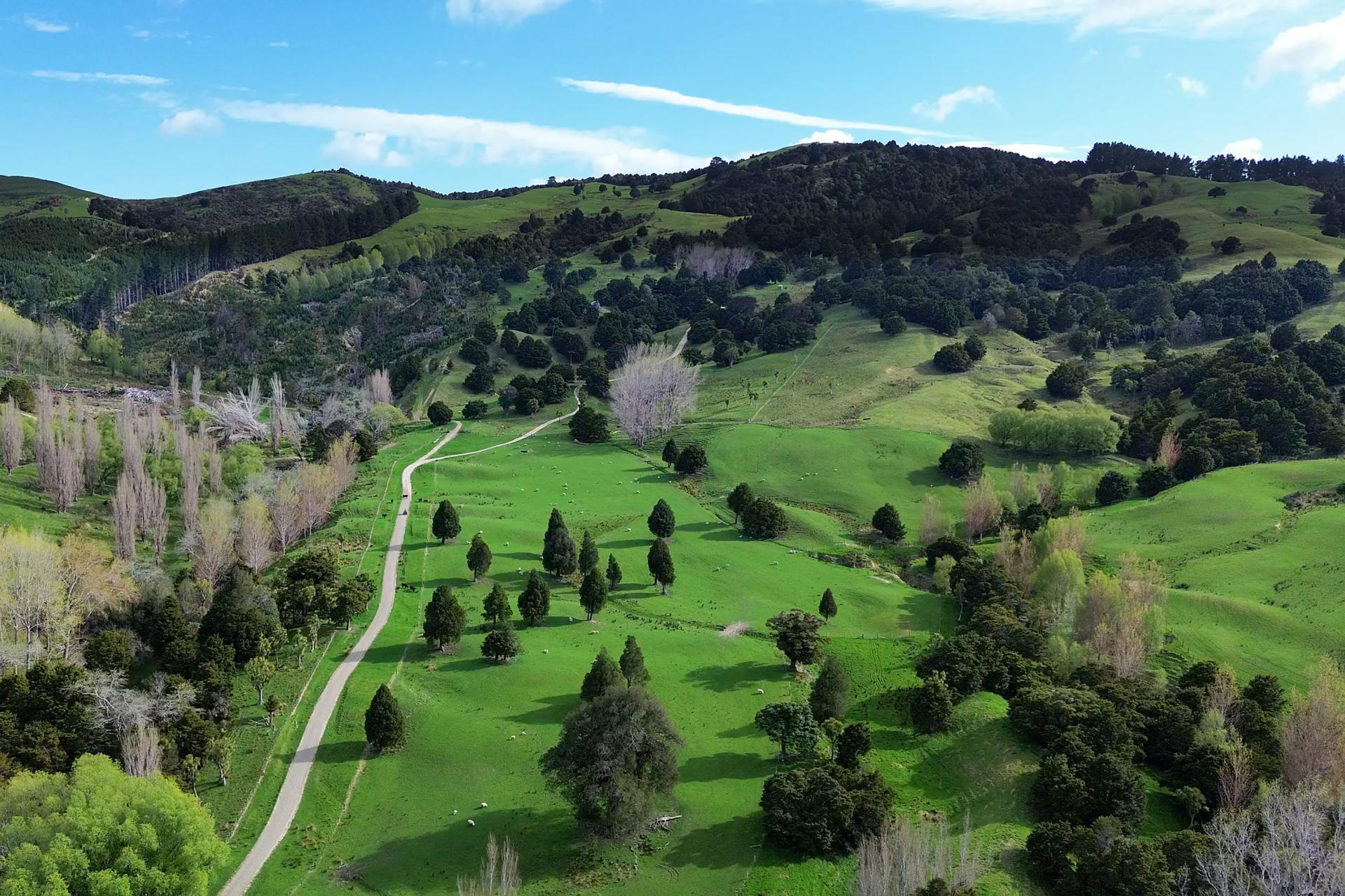 1030 Wimbledon Road, Porangahau