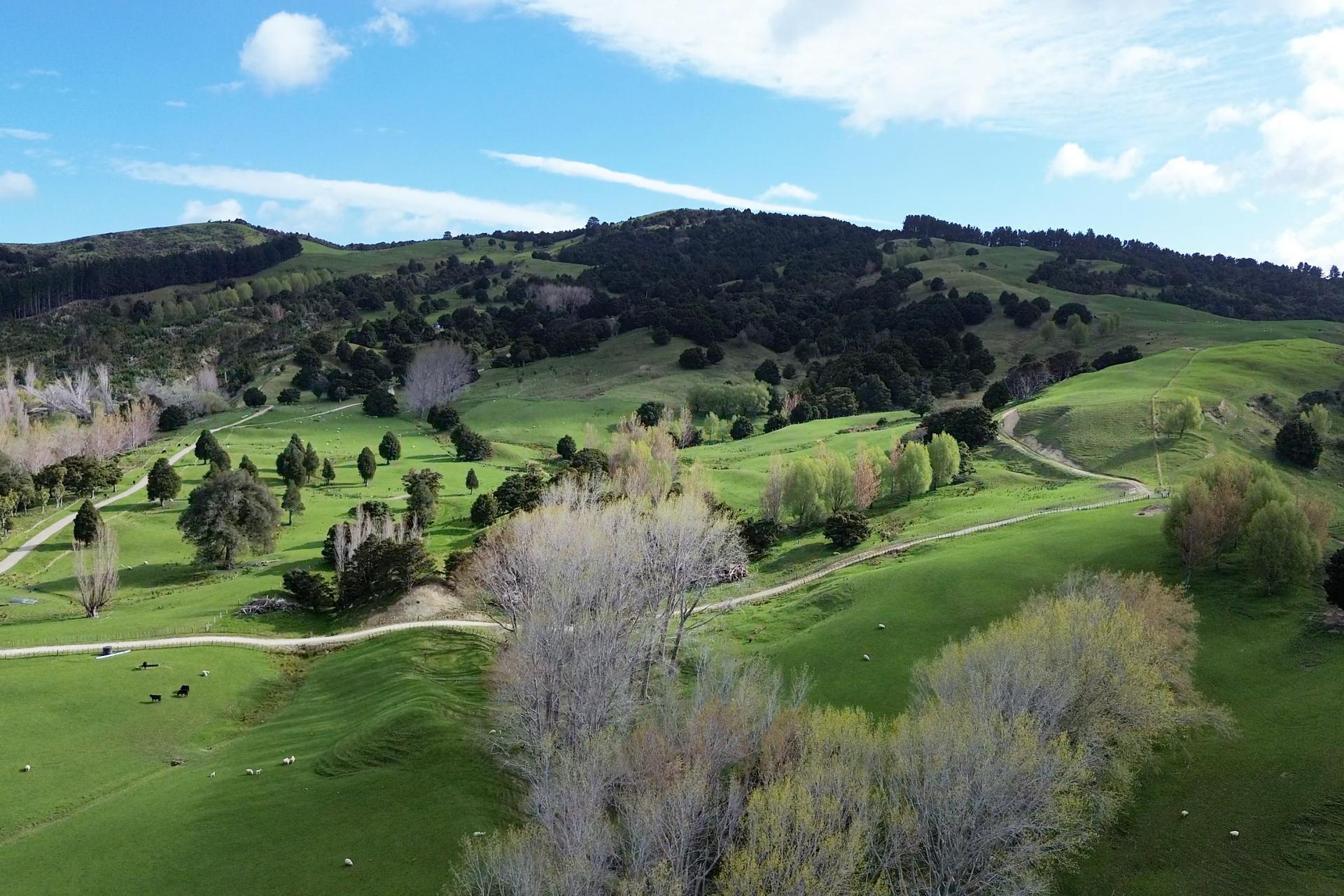 1030 Wimbledon Road, Porangahau