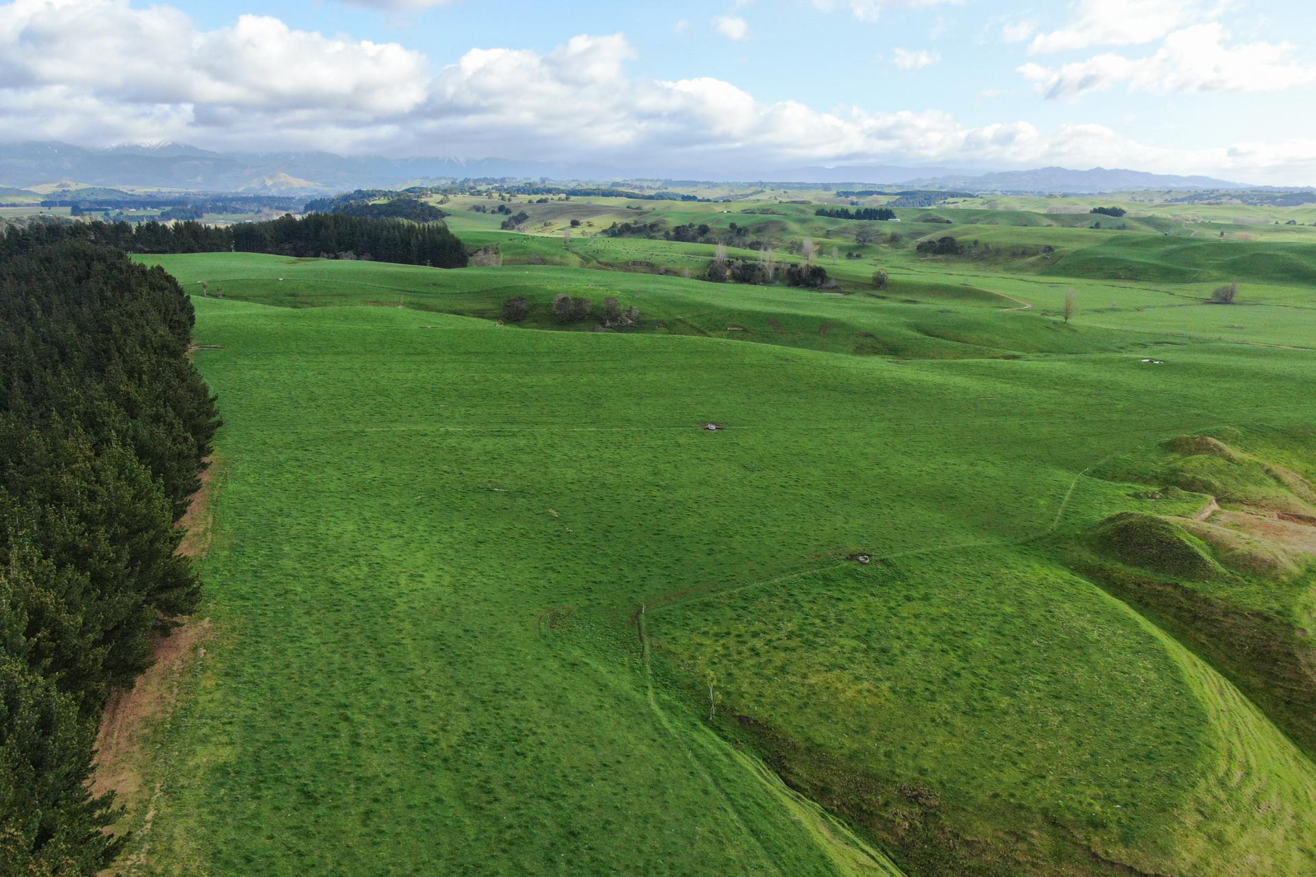 2048 State Highway 50, Ongaonga