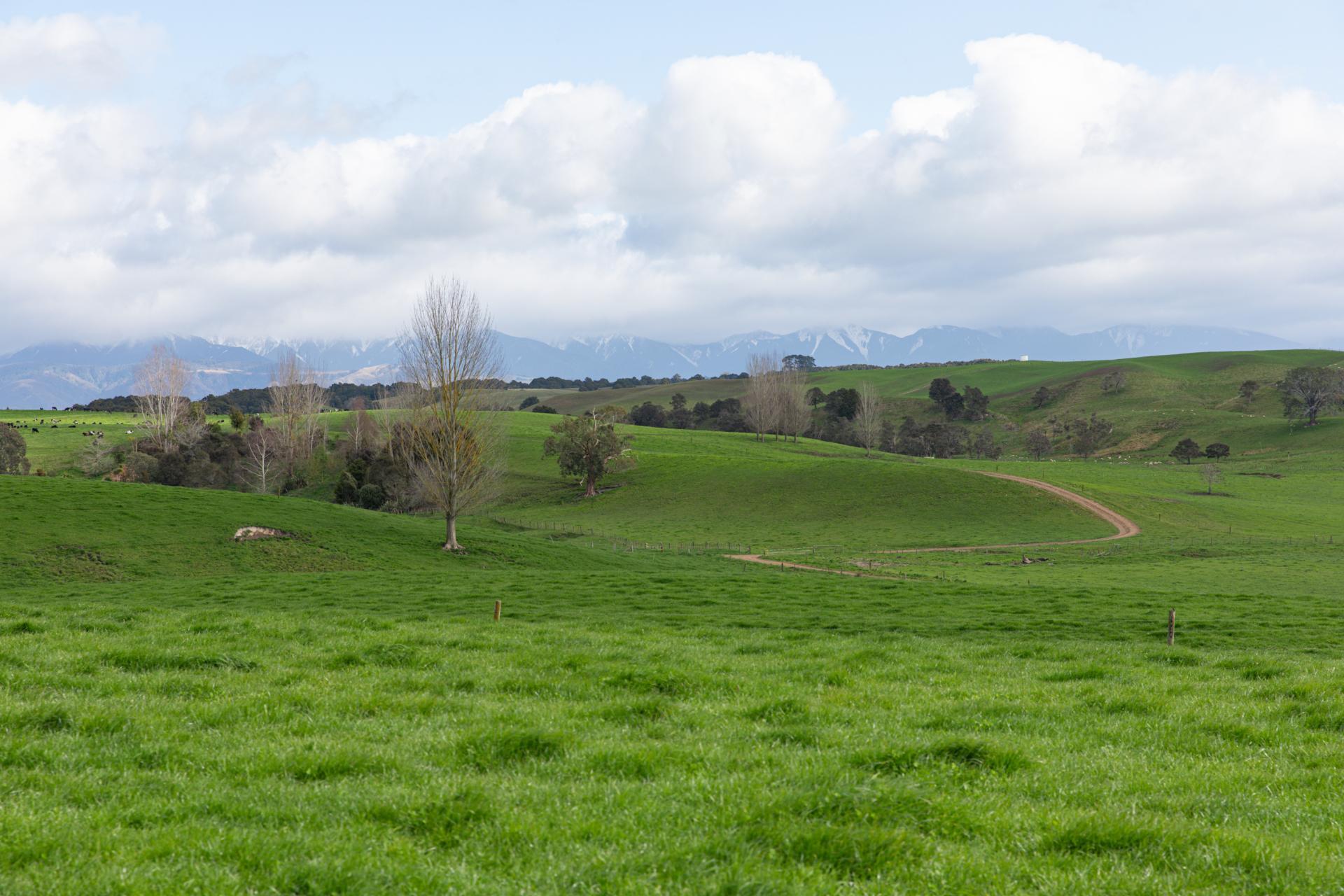 2048 State Highway 50, Ongaonga
