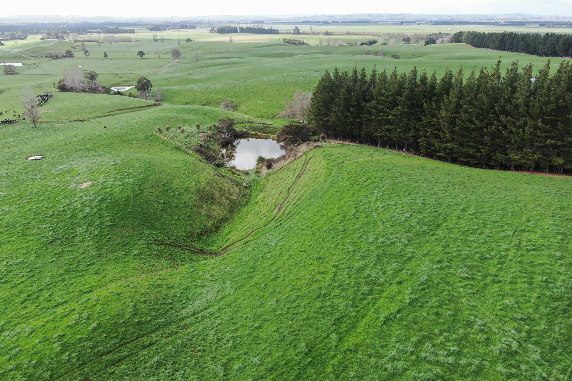 2048 State Highway 50, Ongaonga