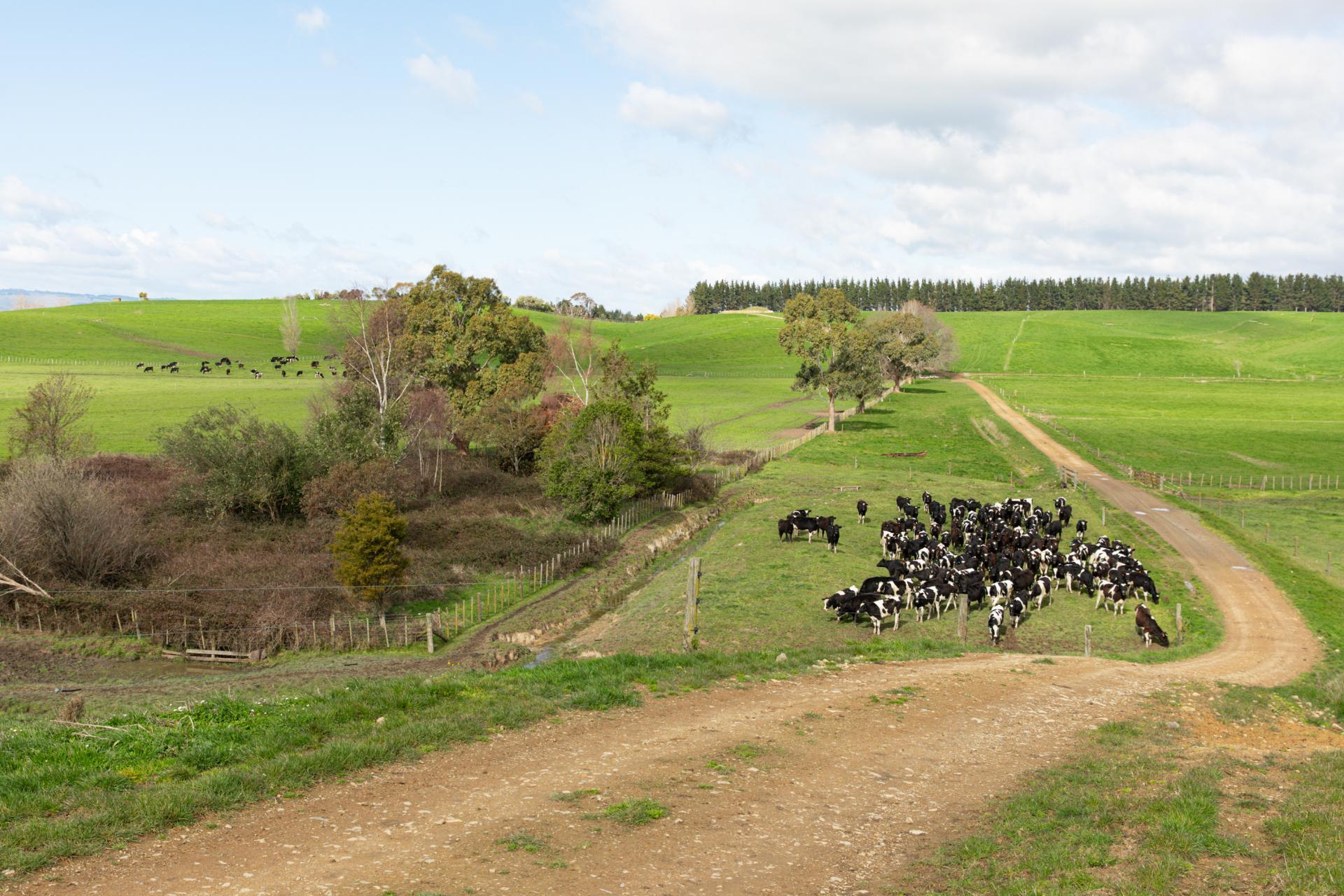2048 State Highway 50, Ongaonga