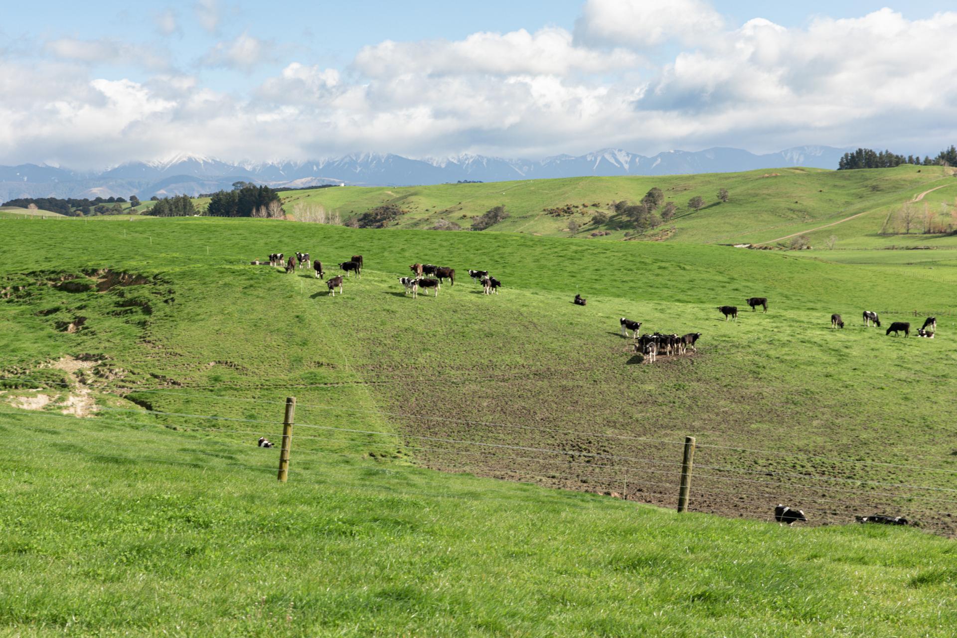 2048 State Highway 50, Ongaonga