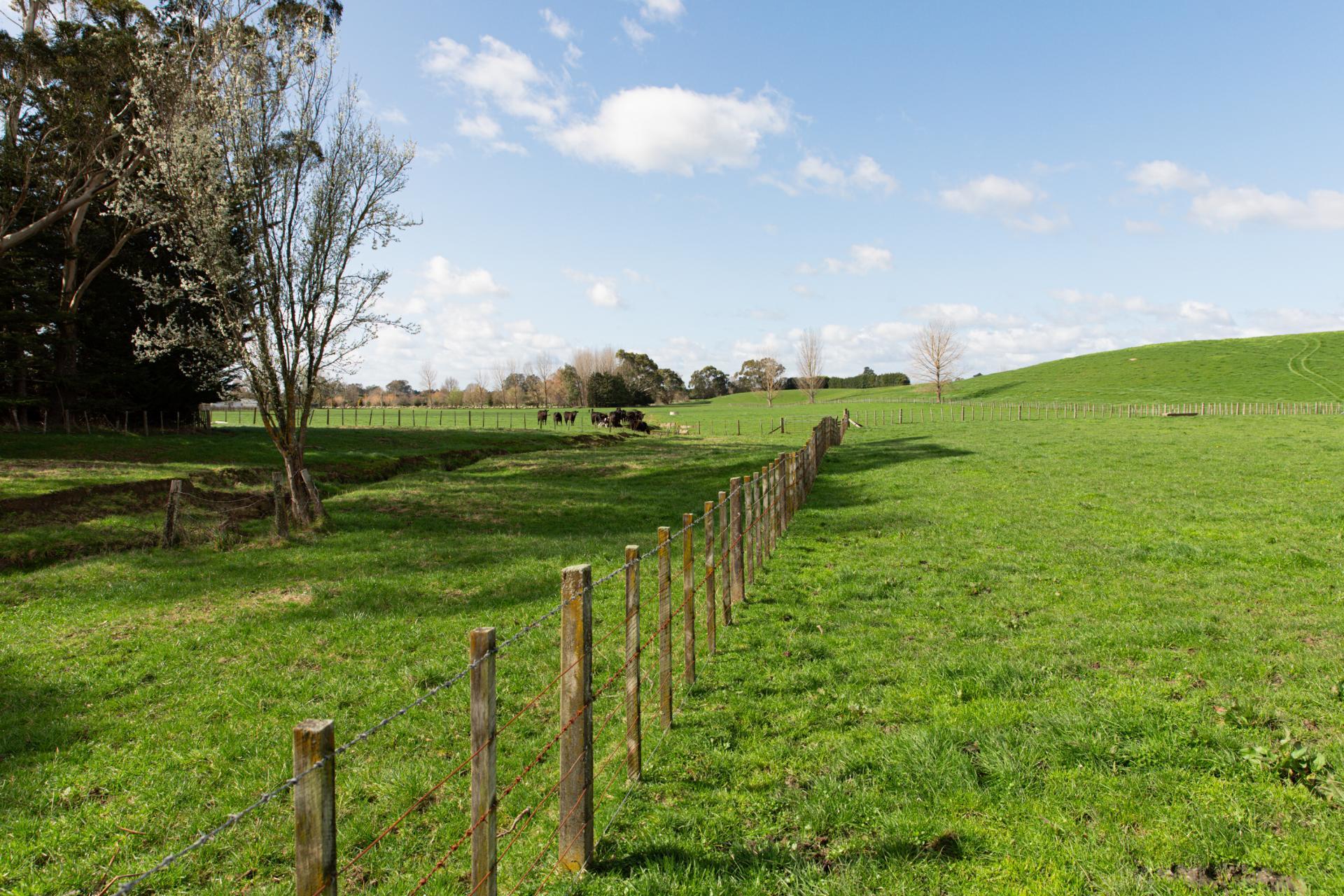 2048 State Highway 50, Ongaonga