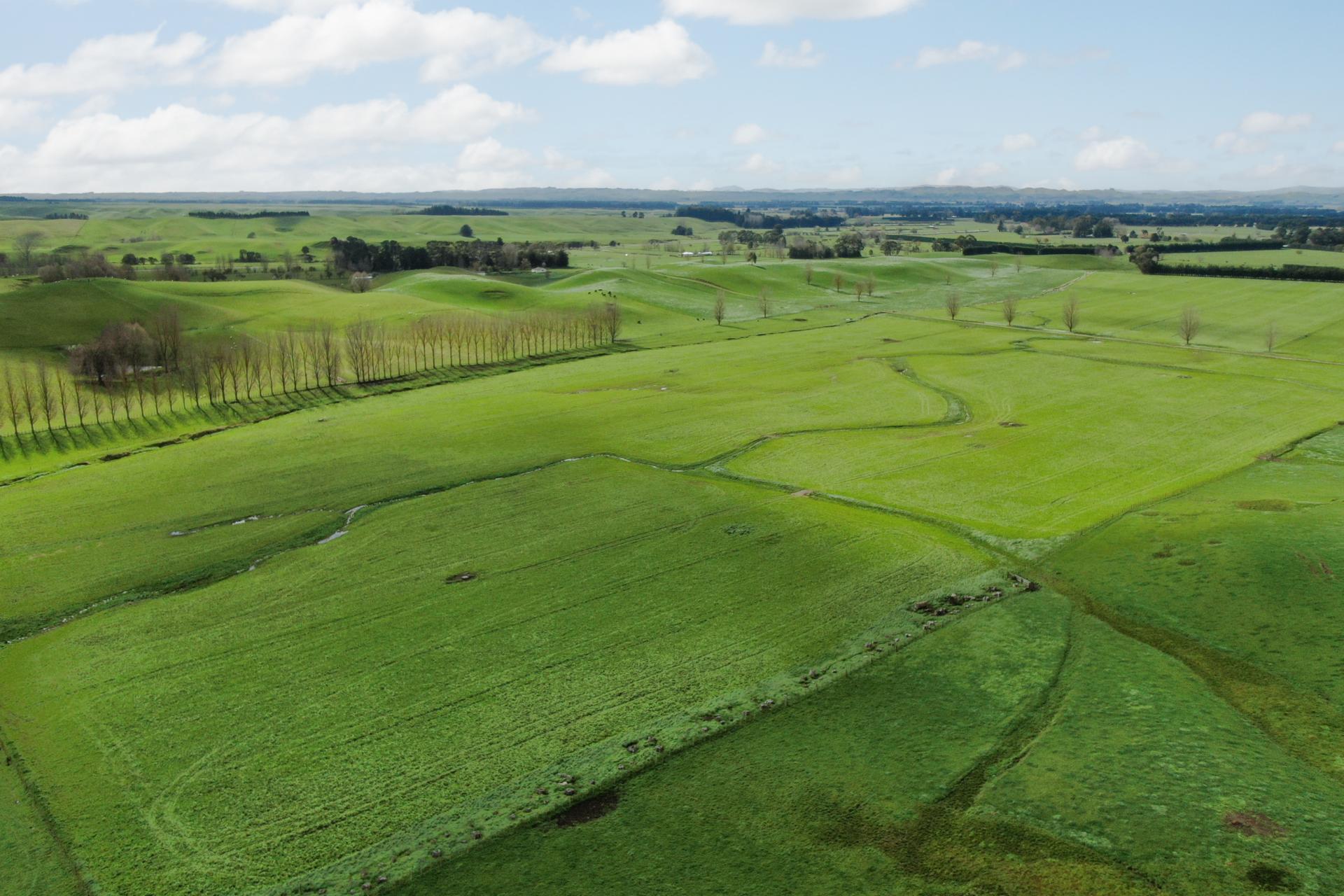 2048 State Highway 50, Ongaonga